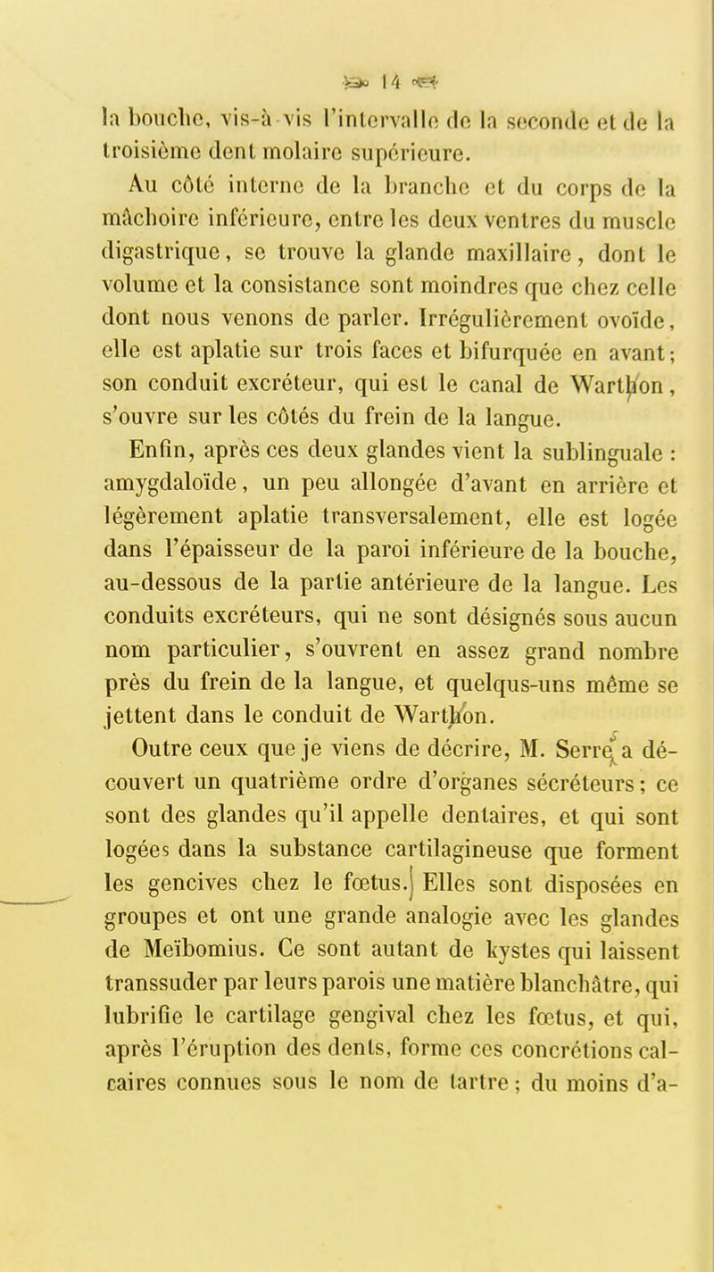 la boiicho, vis-à vis l'intorvallo de la seconde et de la troisième dent molaire supérieure. Au côté interne de la branche et du corps de la mâchoire inférieure, entre les deux Ventres du muscle digastrique, se trouve la glande maxillaire, dont le volume et la consistance sont moindres que chez celle dont nous venons de parler. Irrégulièrement ovoïde, elle est aplatie sur trois faces et bifurquée en avant ; son conduit excréteur, qui est le canal de Wart^on, s'ouvre sur les côtés du frein de la langue. Enfin, après ces deux glandes vient la sublinguale : amygdaloïde, un peu allongée d'avant en arrière et légèrement aplatie transversalement, elle est logée dans l'épaisseur de la paroi inférieure de la bouche, au-dessous de la partie antérieure de la langue. Les conduits excréteurs, qui ne sont désignés sous aucun nom particulier, s'ouvrent en assez grand nombre près du frein de la langue, et quelqus-uns même se jettent dans le conduit de Wartlion. Outre ceux que je viens de décrire, M. Serr^a dé- couvert un quatrième ordre d'organes sécréteurs ; ce sont des glandes qu'il appelle dentaires, et qui sont logées dans la substance cartilagineuse que forment les gencives chez le fœtus.j Elles sont disposées en groupes et ont une grande analogie avec les glandes de Meïbomius. Ce sont autant de kystes qui laissent transsuder par leurs parois une matière blanchâtre, qui lubrifie le cartilage gengival chez les fœtus, et qui, après l'éruption des dents, forme ces concrétions cal- caires connues sous le nom de tartre ; du moins d'à-