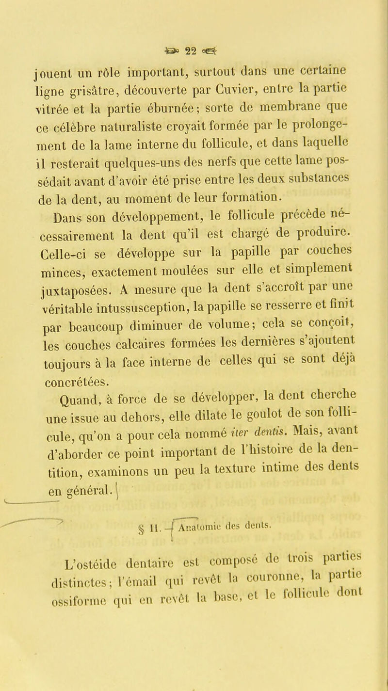 jouent un rôle important, surtout dans une certaine ligne grisâtre, découverte par Cuvier, entre la partie vitrée et la partie éburnée ; sorte de membrane que ce célèbre naturaliste croyait formée par le prolonge- ment de la lame interne du follicule, et dans laquelle il resterait quelques-uns des nerfs que cette lame pos- sédait avant d'avoir été prise entre les deux substances de la dent, au moment de leur formation. Dans son développement, le follicule précède né- cessairement la dent qu'il est chargé de produire. Celle-ci se développe sur la papille par couches minces, exactement moulées sur elle et simplement juxtaposées. A mesure que la dent s'accroît par une véritable intussusception, la papille se resserre et finit par beaucoup diminuer de volume; cela se conçoit, les couches calcaires formées les dernières s'ajoutent toujours à la face interne de celles qui se sont déjà concrétées. Quand, à force de se développer, la dent cherche une issue au dehors, elle dilate le goulot de son folli- cule, qu'on a pour cela nommé iier dentis. Mais, avant d'aborder ce point important de l'histoire de la den- tition, examinons un peu la texture intime des dents en général. ^ <J 11.-/ Atialomic (les dents. L'ostéide dentaire est composé de trois parties distinctes ; l'émail qui revêt la couronne, la partie ossiforme qui en revôt la base, et le follicule dont