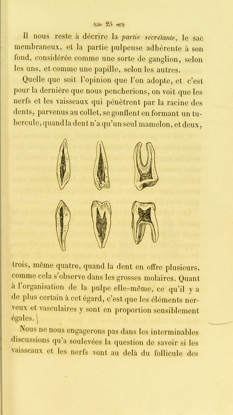 Il nous reste à décrire la pariie secréianie, le sac membraneux, et la partie pulpeuse adhérente à son fond, considérée comme une sorte de ganglion, selon les uns, et comme une papille, selon les autres. Quelle que soit l'opinion que l'on adopte, et c'est pour la dernière que nous pencherions, on voit que les nerfs et les vaisseaux qui pénètrent par la racine des dents, parvenus au collet, se gonflent en formant un tu- bercule, quand la dent n'a qu'un seul mamelon, et deux, trois, même quatre, quand la dent en offre plusieurs, comme cela s'observe dans les grosses molaires. Quant à l'organisation de la pulpe elle-même, ce qu'il y a de plus certain à cet égard, c'est que les éléments ner- veux et vasculaires y sont en proportion sensiblement égales. 1 Nous ne nous engagerons pas dans les interminables discussions qu'a soulevées la question de savoir si les vaisseaux et les nerfs vont au delà du follicule des