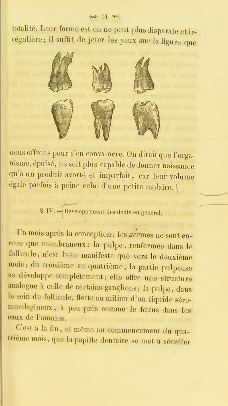 totalité. Leur forme est on ne peut plus disparate et ir- régulière ; il suffit de jeter les yeux sur la figure que nous offrons pour s'en convaincre. On dirait que l'orga- nisme, épuisé, ne soit plus capable de donner naissance qu'à un produit avorté et imparfait, car leur volume égale parfois à peine celui d'une petite molaire. \ $ IV. -n|Développenient des dents en général. Un mois après la conception, les germes ne sont en- core que membraneux: la pulpe, renfermée dans le follicule, n'est bien manifeste que vers le deuxième mois ; du troisième au quatrième, la partie pulpeuse se développe complètement; elle offre une structure analogue à celle de certains ganglions; la pulpe, dans le sein du follicule, flotte au milieu d'un liquide séro- mucilagineux, à peu près comme le fœtus dans les eaux de l'amnios. C'est à la fin, et môme au commencement du qua- trième mois, que la papille dentaire se met à sécréter