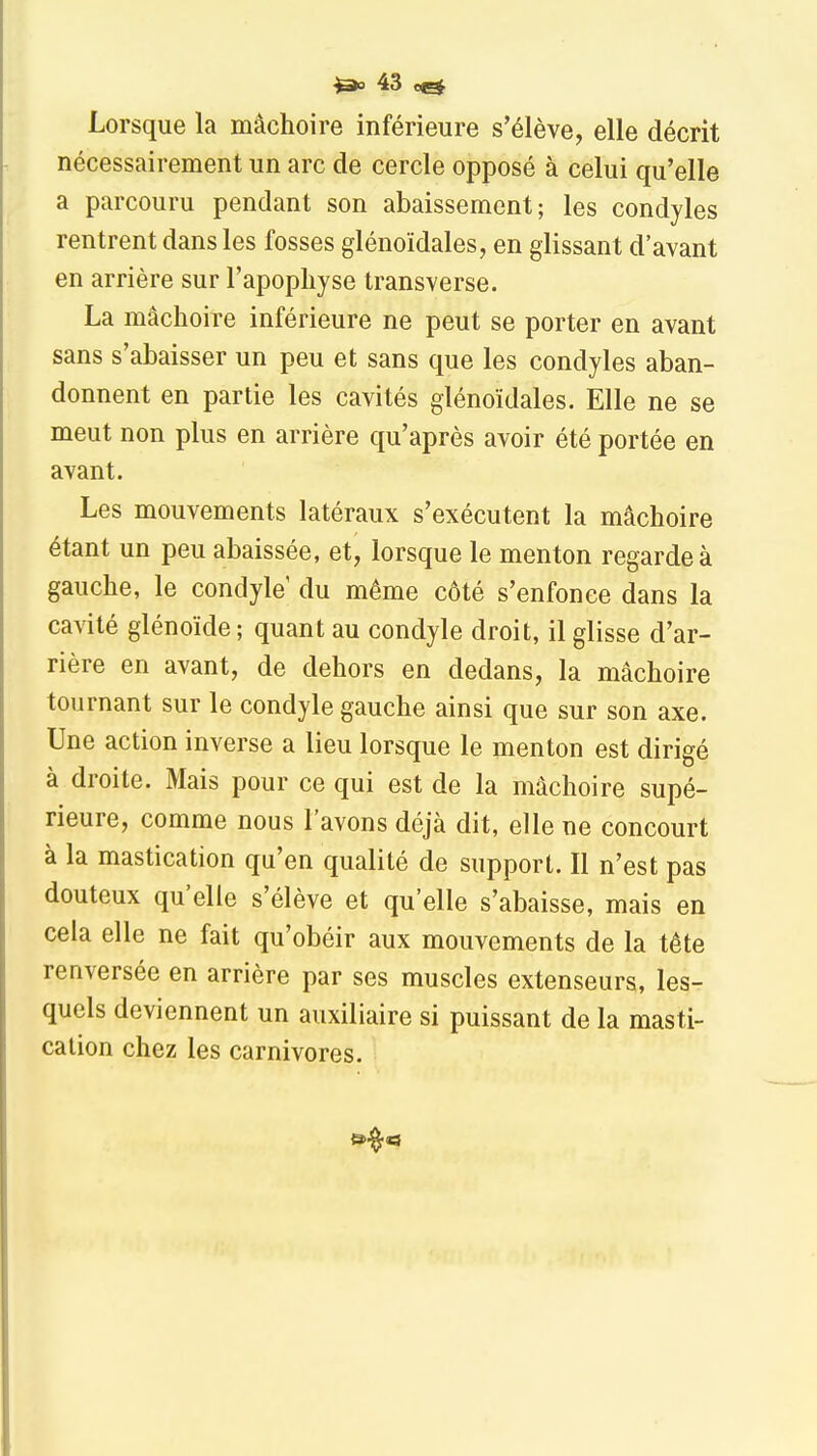 Lorsque la mâchoire inférieure s'élève, elle décrit nécessairement un arc de cercle opposé à celui qu'elle a parcouru pendant son abaissement; les condyles rentrent dans les fosses glénoïdales, en glissant d'avant en arrière sur l'apophyse transverse. La mâchoire inférieure ne peut se porter en avant sans s'abaisser un peu et sans que les condyles aban- donnent en partie les cavités glénoïdales. Elle ne se meut non plus en arrière qu'après avoir été portée en avant. Les mouvements latéraux s'exécutent la mâchoire étant un peu abaissée, et, lorsque le menton regarde à gauche, le condyle du même côté s'enfonce dans la cavité glénoïde ; quant au condyle droit, il glisse d'ar- rière en avant, de dehors en dedans, la mâchoire tournant sur le condyle gauche ainsi que sur son axe. Une action inverse a lieu lorsque le menton est dirigé à droite. Mais pour ce qui est de la mâchoire supé- rieure, comme nous l'avons déjà dit, elle ne concourt à la mastication qu'en qualité de support. Il n'est pas douteux qu'elle s'élève et qu'elle s'abaisse, mais en cela elle ne fait qu'obéir aux mouvements de la tête renversée en arrière par ses muscles extenseurs, les- quels deviennent un auxiliaire si puissant de la masti- cation chez les carnivores.