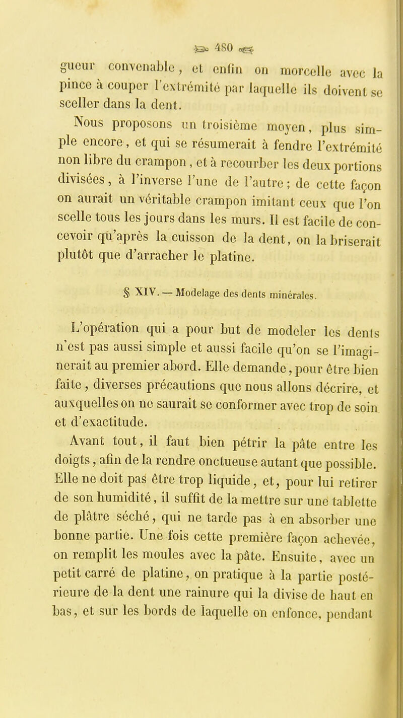 guour convenable, et cn(in on morcelle avec la pince à couper l'extrcmitc par laquelle ils doivent se sceller dans la dent. Nous proposons un troisième moyen, plus sim- ple encore, et qui se résumerait à fendre l'extrémité non libre du crampon, et à recourber les deux portions divisées, à l'inverse l'une de l'autre ; de cette façon on aurait un véritable crampon imitant ceux que l'on scelle tous les jours dans les murs. Il est facile de con- cevoir qu'après la cuisson de la dent, on la briserait plutôt que d'arracher le platine. S XIV. — Modelage des dents minérales. L'opération qui a pour but de modeler les dents n'est pas aussi simple et aussi facile qu'on se l'imagi- nerait au premier abord. Elle demande, pour être bien faite, diverses précautions que nous allons décrire, et auxquelles on ne saurait se conformer avec trop de soin et d'exactitude. Avant tout, il faut bien pétrir la pâte entre les doigts, afin de la rendre onctueuse autant que possible. Elle ne doit pas être trop liquide, et, pour lui retirer de son humidité, il suffît de la mettre sur une tablette de plâtre séché, qui ne tarde pas à en absorber une bonne partie. Une fois cette première façon achevée, on remplit les moules avec la pâte. Ensuite, avec un petit carré de platine, on pratique à la partie posté- rieure de la dent une rainure qui la divise de haut en bas, et sur les bords de laquelle on enfonce, pendant