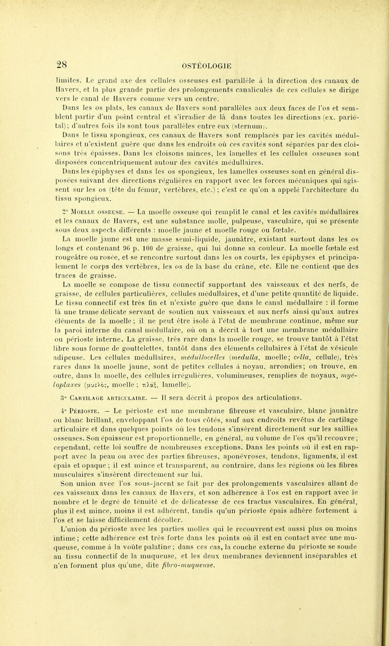 limites. Le grand axe des cellules osseuses est parallèle à la direction des canaux de Havers, et la plus grande partie des prolongements canaliculés de ces cellules se dirige vers le canal de Havers comme vers un centre. Dans les os plats, les canaux de Havers sont parallèles aux deux faces de Fos et sem- blent partir d'un point central et s'irradier de là dans toutes les directions (ex. parié- tal); d'autres fois ils sont tous parallèles entre eux (sternum). Dans le tissu spongieux, ces canaux de Havers sont remplacés par les cavités médul- laires et n'existent guère que dans les endroits où ces cavités sont séparées par des cloi- sons très épaisses. Dans les cloisons minces, les lamelles et les cellules osseuses sont disposées concentriquement autour des cavités médullaires. Dans les épiphyses et dans les os spongieux, les lamelles osseuses sont en général dis- posées suivant des directions régulières en rapport avec les forces mécaniques cjui agis- sent sur les os (tête du fémur, vertèbres, etc.) ; c'est ce qu'on a appelé l'architecture du tissu spongieux. 2 Moelle osseuse. — La moelle osseuse qui remplit le canal et les cavités médullaires et les canaux de Havers, est une substance molle, pulpeuse, vasculaire, qui se présente sous deux aspects différents : moelle jaune et moelle rouge ou fœtale. La moelle jaune est une masse semi-liquide, jaunâtre, existant surtout dans les os longs et contenant 96 p. 100 de graisse, qui lui donne sa couleur. La moelle fœtale est rougeàtre ou rosée, et se rencontre surtout dans les os courts, les épiphyses et principa- lement le corps des vertèbres, les os de la base du crâne, etc. Elle ne contient que des traces de graisse. La moelle se compose de tissu connectif supportant des vaisseaux et des nerfs, de graisse, de cellules particulières, cellules médullaires, et d'une petite quantité de liquide. Le tissu connectif est très fin et n'existe guère que dans le canal médullaire : il forme là une trame délicate servant de soutien aux vaisseaux et aux nerfs ainsi qu'aux autres éléments de la moelle ; il ne peut être isolé à l'état de membrane continue, même sur la paroi interne du canal médullaire, où on a décrit à tort une membrane médullaire ou périoste interne. La graisse, très rare dans la moelle rouge, se trouve tantôt à l'état libre sous forme de gouttelettes, tantôt dans des éléments cellulaires à l'état de vésicule adipeuse. Les cellules médullaires, méduUocelles [medulla, moelle; ccZ/a, cellulej, très rares dans la moelle jaune, sont de petites cellules à noyau, arrondies; on trouve, en outre, dans la moelle, des cellules irrégulières, volumineuses, remplies de noyaux, myé- loplaxes (jj.-js^o:, moelle ; 7i).ci5, lamelle). 3° Cartilage articulaire. — 11 sera décrit à propos des articulations. 4° Pébioste. - Le périoste est une membrane fibreuse et vasculaire, blanc jaunâtre ou blanc brillant, enveloppant l'os de tous côtés, sauf aux endroits revêtus de cartilage articulaire et dans quelques points où les tendons s'insèrent directement sur les saillies osseuses. Son épaisseur est proportionnelle, en général, au volume de l'os qu'il recouvre; cependant, cette loi souffre de nombreuses exceptions. Dans les points où il est en rap- port avec la peau ou avec des parties fibreuses, aponévroses, tendons, ligaments, il est épais et opaque ; il est mince et transparent, au contraire, dans les régions où les fibres musculaires s'insèrent directement sur lui. Son union avec l'os sous-jacent se fait par des prolongements vasculaires allant de ces vaisseaux dans les canaux de Havers, et son adhérence à l'os est en rapport avec le nombre et le degré de ténuité et de délicatesse de ces tractus vasculaires. En général, plus il est mince, moins il est adhérent, tandis qu'un périoste épais adhère fortement à l'os et se laisse difficilement décoller. L'union du périoste avec les parties molles qui le recouvrent est aussi plus ou moins intime ; cette adhérence est très forte dans les points où il est en contact avec une mu- queuse, comme à la voûte palatine; dans ces cas, la couche externe du périoste se soude au tissu connectif de la muqueuse, et les deux membranes deviennent inséparables et n'en forment plus qu'une, dite fibro-muqueuse.