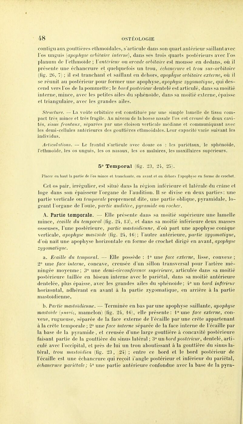 contigu aux gout tières ethmoïdales, s'articule dans son quart antérieur saillant avec l'os unguis {apophyse orbitaire interne), dans ses trois quarts postérieurs avec l'os planuni de l'ethmoïde ; Vantérieur ou arcade orbitaire est mousse en dedans, où i! présente une échancrure et quelquefois un trou, échancrurc et trou sus-orbitaire (fig. 26, 7) ; il est tranchant et saillant en dehors, apophyse orbitaire externe, où il se réunit au postérieur pour former une apophyse, apophyse zygomatique, qui des- cend vers l'os de la pommette ; le bord postérieur dentelé est articulé, dans sa moitié interne, mince, avec les petites ailes du sphénoïde, dans sa moitié externe, épaisse et triangulaire, avec les grandes ailes. Structure. — La voûte orbitaire est constituée par une simple lamelle de tissu com- pact très mince et très fragile. Au niveau de la bosse nasale l'os est creusé de deux cavi- tés, sinus frontaux, séparées par une cloison verticale médiane et communiquant avec les demi-cellules antérieures des gouttières ethmoïdales. Leur capacité varie suivant les individus. Articulations. — Le frontal s'articule avec douze os : les pariétaux, le sphénoïde, l'ethmoïde, les os unguis, les os nasaux, les os malaires, les maxillaires supérieurs. 5» Temporal (fig. 23, 24, 25). Placer en haut la partie de l'os mince et trancliante, en avant et en dehors l'apophyse en forme de crochet. Cet os pair, irrégulier, est situé dans la région inférieure et latérale du crâne et loge dans son épaisseur l'organe de l'audition. Il se divise en deux parties: une partie verticale ou temporale proprement dite, une partie ohlique, pyramidale, lo- geant l'organe de l'ouïe, partie auditive, pyramide ou rocher. A. Partie temporale. — Elle présente dans sa moitié supérieure une lamelle mince, écaille du temporal (fig. 24, 13), et dans sa moitié inférieure deux masses osseuses, l'une postérieure, partie mastoïdienne, d'où part une apophyse conique verticale, apophyse masioide (fig. 24, 16); Tautre antérieure, p^î'^ie zygomatique, d'où naît une apophyse horizontale en forme de crochet dirigé en avant, apophyse zygomatique. a. Écaille du temporal. — Elle possède : 1° une face externe, lisse, convexe ; 2° une face interne, concave, creusée d'un sillon transversal pour l'artère mé- ningée moyenne ; 3° une demi-circonférence supérieure, articulée dans sa moitié postérieure taillée en hiseau interne avec le pariétal, dans sa moitié antérieure dentelée, plus épaisse, avec les grandes ailes du sphénoïde; 4° un bord inférieur horizontal, adhérant en avant à la partie zygomatique, en arrière à la partie mastoïdienne. b. Partie mastoïdienne. — Terminée en bas par une apophyse saillante, apophyse mastoïde («.acre.';, mamelon) (fig. 24, 16), elle présente: 1° une face externe, con- vexe, rugueuse, séparée de la face externe de l'écaillé par une crête appartenant à la crête temporale ; 2° une face interne séparée de la face interne de l'écaillé par la base de la pyramide , et creusée d'une large gouttière à concavité postérieure faisant partie de la gouttière du sinus latéral ; 3° un bord postérieur, dentelé, arti- culé avec l'occipital, et près de lui un trou aboutissant à la gouttière du sinus la- téral, trou mastoïdien (fig. 23, 24) ; entre ce bord et le bord postérieur de l'écaillé est une échancrure qui reçoit l'angle postérieur et inférieur du pariétal, échancrure pariétale ; 4' une partie antérieure confondue avec la base de la pyra-