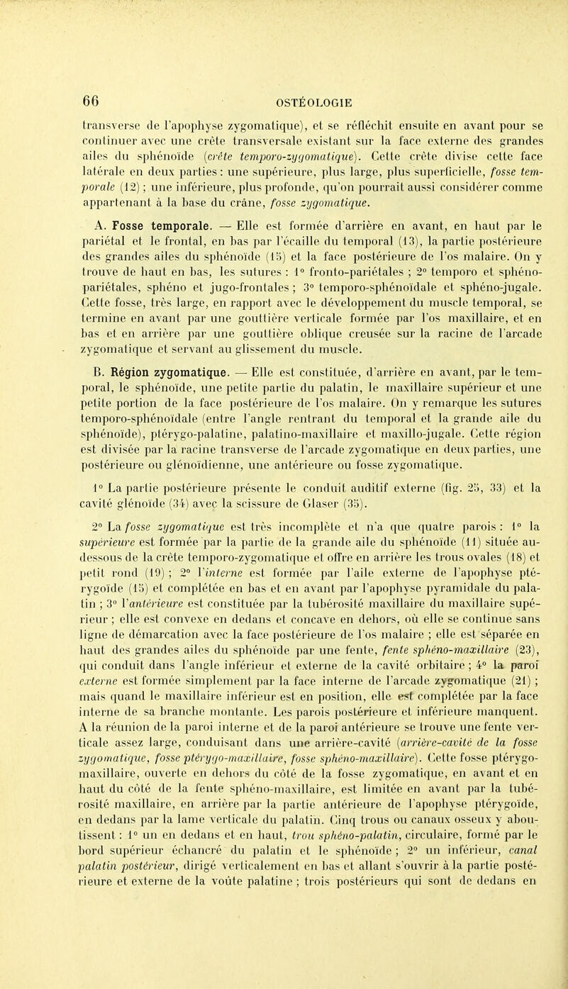 transverse de l'apophyse zygoniatique), et se réfléchit ensuite en avant pour se continuer avec une crête transversale existant sur la face externe des grandes ailes du sphénoïde {crête temporo-zygomatique). Cette crête divise cette face latérale en deux parties: une supérieure, plus large, plus supertlcielle, fosse tem- porale (12) ; une inférieure, plus profonde, qu'on pourrait aussi considérer comme appartenant à la hase du crâne, fosse zygoniatique. A. Fosse temporale. — Elle est formée d'arrière en avant, en haut par le pariétal et le frontal, en has par l'écaillé du temporal (13), la partie postéi'ieure des grandes ailes du sphénoïde (15) et la face postérieure de l'os malaire. On y trouve de haut en has, les sutures : 1° fronto-pariétales ; 2° temporo et sphéno- pariétales, sphéno et jugo-frontales ; 3 temporo-sphénoïdale et sphéno-jugale. Cette fosse, très large, en rapport avec le développement du muscle temporal, se termine en avant par une gouttière verticale formée par l'os maxillaire, et en has et en arrière par une gouttière ohlique creusée sur la racine de l'arcade zygomatique et servant au glissement du muscle. B. Région zygomatique. — Elle est constituée, d'arrière en avant, par le tem- poral, le sphénoïde, une petite partie du palatin, le maxillaire supérieur et une petite portion de la face postérieure de l'os malaire. On y remanjue les sutures temporo-sphénoïdale (entre l'angle rentrant du temporal et la grande aile du sphénoïde), ptérygo-palatine, palatino-maxillaire et maxillo-jugale. Cette région est divisée par la racine transverse de l'arcade zygomatique en deux parties, une postérieure ou glénoïdienne, une antérieure ou fosse zygomatique. \° La partie postérieure présente le conduit auditif externe (fig. 2'o, 33) et la cavité glénoïde (34) avec la scissure de Glaser (3b). 2° La fosse zygomatique est très incomplète et n'a que quatre parois: i° la supérieure est formée par la partie de la grande aile du sphénoïde (U) située au- dessous de la crête temporo-zygoinatif[uo et olîre en arrière les trous ovales (18) et petit rond (19) ; 2° Vinterne est formée par l'aile externe de l'apophyse pté- rygoïde (IS) et complétée en has et en avant par l'apophyse pyramidale du pala- tin ; 3° Vantérieure est constituée par la tuhérosité maxillaire du maxillaire supé- rieur ; elle est convexe en dedans et concave en dehors, où elle se continue sans ligne de démarcation avec la face postérieure de l'os malaire ; elle est séparée en haut des grandes ailes du sphénoïde par une fente, fente sphéno-maxillaire (23), qui conduit dans l'angle inférieur et externe de la cavité orhitaire ; 4° la paroi externe est formée simplement par la face interne de l'arcade zygomatique (21) ; mais quand le maxillaire inférieur est en position, elle est complétée par la face interne de sa hranche montante. Les parois postérieure et inférieure manquent. A la réunion de la paroi interne et de la paroi antérieure se trouve une fente ver- ticale assez large, conduisant dans une arrière-cavité {arrière-cavité de la fosse zygomatique, fosse ptérygo-maxillaire, fosse sphéno-maxillaire). Cette fosse ptérygo- maxillaire, ouverte en dehors du c<Mé de la fosse zygomatique, en avant et en haut du côté de la fente sphéno-maxillaire, est limitée en avant par la tuhé- rosité maxillaire, en arrière par la partie antérieure de l'apophyse ptérygoïde, en dedans par la lame verticale du palatin. Cinq trous ou canaux osseux y ahou- tissent : 1 un en dedans et en haut, trou sphéno-palatin, circulaire, formé par le hord supérieur échancré du palatin et le sphénoïde ; 2° un inférieur, canal palatin postérieur, dirigé verticalement en has et allant s'ouvrir à la partie posté- rieure et externe de la voûte palatine ; trois postérieurs qui sont de dedans en