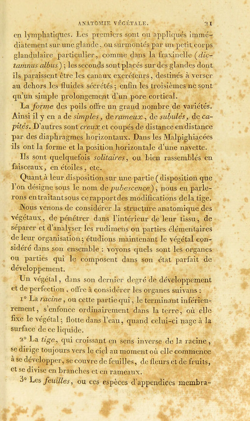 en lymphatiques. Les premiers sont ou appliqués immé- diatement sur une glande, ou surmontés par un petit corps glandulaire particulier, comme dans la fraxinelle (die- tamnus albus ) ; les seconds sont placés sur des glandes dont ils paraissent être les canaux excréteurs, destinés à verser au dehors les fluides sécrétés ; enfin les troisièmes ne sont qu’un simple prolongement d’un pore cortical. ~La. forme des poils offre un grand nombre de variétés. Ainsi il y en a de simples, de rameux, de subulés, de ca- pités. D’autres sont creux et coupés de distance en distance par des diaphragmes horizontaux. Dans les Malpighiacées ils ont la forme et la position horizontale d’une navette. Ils sont quelquefois solitaires, ou bien rassemblés en faisceaux, en étoiles, etc. Quant à leur disposition sur une partie ( disposition que l’on désigne sous le nom de pubescence), nous en parle- rons en traitant sous ce rapport des modifications delà tige. Nous venons de considérer la structure anatomique des végétaux, de pénétrer dans l’intérieur de leur tissu, de séparer et d’analyser les rudimens ou parties élémentaires de leur organisation; étudions maintenant le végétal con- sidère dans son ensemble ; voyons quels sont les organes ou parties qui le composent dans son état parfait de développement. Un végétal, dans son dernier degré de développement et de perfection , offre à considérer les organes suivans : i° La racine, ou cette partie qui, le terminant inférieu- rement , s enfonce ordinairement dans la terre, où elle fixe le végétal ; flotte dans l’eau, quand celui-ci nage à la surface de ce liquide. i° La tige, qui croissant en sens inverse de la racine, se dirige toujours vers le ciel au moment où elle commence à se développer, se couvre de feuilles, de fleurs et de fruits, et se divise en branches et en rameaux. 3° Les feuilles, ou ces espèces d’appendices membra-