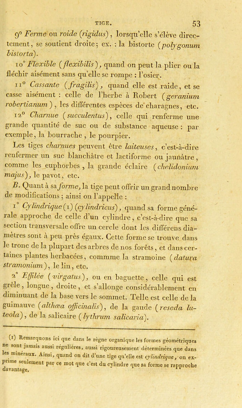 9° Ferme ou roule (rigidus) , lorsqu’elle s’élève direc- tement, se soutient droite 5 ex. : la bistorte (polygonum bisLortà). io° Flexible (flexibilis), quand on peut la plier ou la fléchir aisément sans quelle se rompe : l’osier. ii° Cassante (fragilisai, quand elle est raide, et se casse aisément : celle de l’herbe à Robert (géranium robertianum.fr les différentes espèces de charagnes, etc. 12° Charnue ( succulent.us ), celle qui renferme une grande quantité de suc ou de substance aqueuse : par exemple, la bourrache , le pourpier. Les tiges charnues peuvent être laiteuses, c’est-à-dire renfermer un sue blanchâtre et lactiforme ou jaunâtre, comme les euphorbes , la grande éclaire (chelidonium majusfr le pavot, etc. B. Quant à sa forme, la tige peut offrir un grand nombre de modifications 5 ainsi on l’appelle : 1 Cylindrique (1) (cylindricusfr quand sa forme géné- rale approche de celle dun cylindre, c’est-à-dire que sa section transversale offre un cercle dont les différons dia- mètres sont à peu près égaux. Cette forme se trouve dans le tronc de la plupart des arbres de nos forêts, et dans cer- taines plantes herbacées, commme la stramoine (datura stramonium ), le lin, etc. 20 Effilée (virgatusfr ou en baguette, celle qui est grêle , longue , droite , et s’allonge considérablement en diminuant de la base vers le sommet. Telle est celle de la guimauve (althœa officinalis), de la gaude (réséda lu- teola') , de la salicaire ( lythrum salicaria). (1) Piemarquons ici que clans le règne oi’ganique les formes géométriques ne sont jamais aussi régulières, aussi rigoureusement déterminées que dans les minéraux. Ainsi, quand on dit d’une tige qu’elle est cylindrique, on ex- pume seulement par ce mot que c’est du cylindre que sa forme se rapproche davantage.