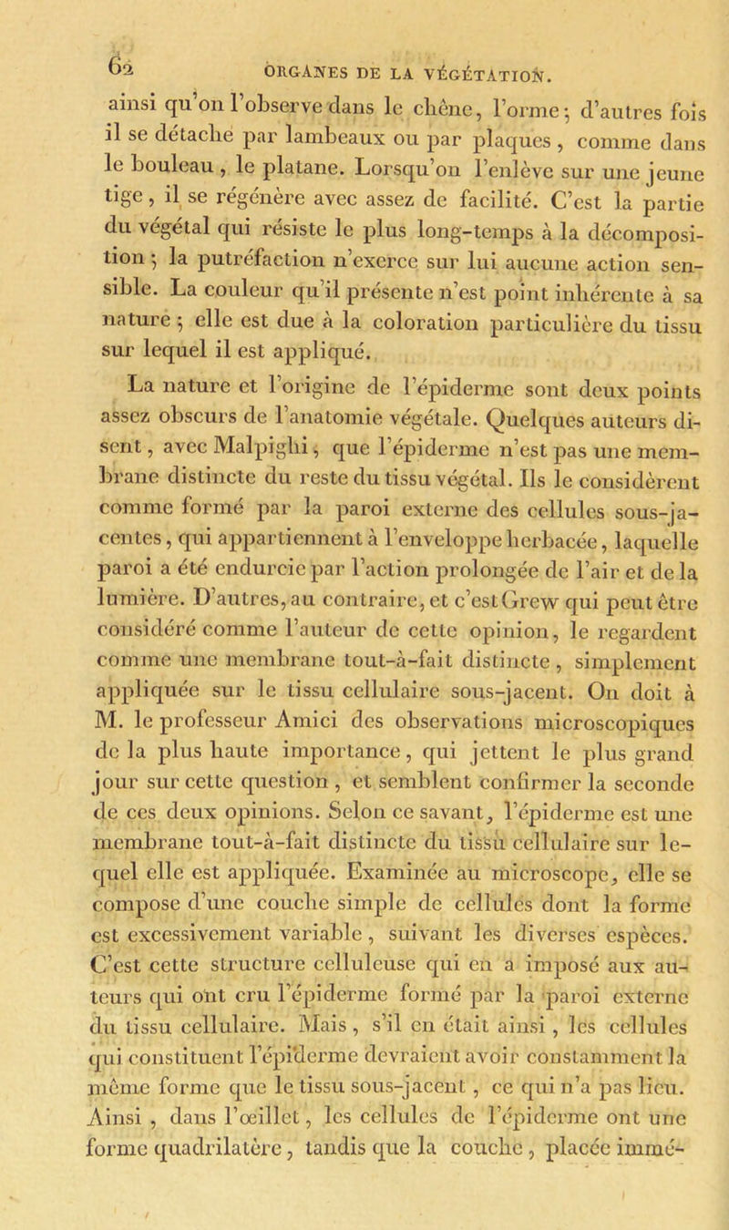 ainsi qu’on l’observe dans le chêne, l’orme-, d’autres fois il se détaché par lambeaux ou par plaques , comme dans le bouleau , le platane. Lorsqu on l’enlève sur une jeune tige, il se régénère avec assez de facilité. C’est la partie du végétal qui résiste le plus long-temps à la décomposi- tion -, la putréfaction n’exerce sur lui aucune action sen- sible. La couleur qu’il présente n’est point inhérente à sa nature $ elle est due à la coloration particulière du tissu sur lequel il est appliqué. La nature et l’origine de l’épiderme sont deux points assez obscurs de l’anatomie végétale. Quelques auteurs di- sent , avec Malpiglii, que l’épiderme n’est pas une mem- brane distincte du reste du tissu végétal. Ils le considèrent comme formé par la paroi externe des cellules sous-ja- centes , qui appartiennent à l’enveloppe herbacée, laquelle paroi a été endurcie par l’action prolongée de l’air et de la lumière. D’autres, au contraire, et c’est Grew qui peut être considéré comme l’auteur de cette opinion, le regardent comme unie membrane tout-à-fait distincte , simplement appliquée sur le tissu cellulaire sous-jacent. On doit à M. le professeur Amici des observations microscopiques delà plus haute importance, qui jettent le plus grand jour sur cette question , et semblent confirmer la seconde de ces deux opinions. Selon ce savant, l’épiderme est mie membrane tout-à-fait distincte du tissii cellulaire sur le- quel elle est appliquée. Examinée au microscope, elle se compose d’une couche simple de cellules dont la forme est excessivement variable, suivant les diverses espèces. C’est cette structure celluleuse qui en a imposé aux au- teurs qui ont cru l’épiderme formé par la paroi externe du tissu cellulaire. Mais, s’il en était ainsi, les cellules qui constituent l’épi'derme devraient avoir constamment la même forme que le tissu sous-jacent , ce cpii n’a pas lieu. Ainsi , dans l’œillet, les cellules de l’épiderme ont une forme quadrilatère, tandis que la couche , placée immé-