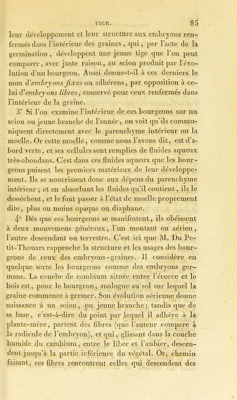 leur développement et leur structure aux embryons ren- fermés dans l’intérieur des graines , qui, par l’acte de la germination, développent une jeune tige que l’on peut comparer, avec juste raison, au scion produit par l’évo- lution d’un bourgeon. Aussi donne-t-il à ces derniers le nom d'embryons fixes ou adliérens, par opposition à ce- lui d'embryons libres, conservé pour ceux renfermés dans l’intérieur de la graine. 3° Si l’on examine l’intérieur de ces bourgeons sur un scion ou jeune branche de l’année, on voit qu’ils commu- niquent directement avec le parenchyme intérieur ou la moelle. Or cette moelle, comme nous l’avons dit, est d’a- bord verte, et ses cellules sont remplies de fluides aqueux très-abondans. C’est dans ces fluides aqueux que les bour- geons puisent les premiers matériaux de leur développe- ment. Ils se nourrissent donc aux dépens du parenchyme intérieur ; et en absorbant les fluides qu’il contient, ils le dessèchent, et le font passer à l’état de moelle proprement dite, plus ou moins opaque ou diaphane. 4° Dès que ces bourgeons se manifestent, ils obéissent à deux mouvemens généraux, l’un montant ou aérien, l’autre descendant ou terrestre. C’est ici que M. Du Pe- tit-Thouars rapproche la structure et les usages des bour- geons de ceux des embryons-graines. Il considère en quelque sorte les bourgeons comme des embryons ger- mans. La couche de cambium située entre l’écorce et le bois est, pour le bourgeon, analogue au sol sur lequel la graine commence à germer. Son évolution aérienne donne naissance à un scion, pu jeune branche ; tandis que de sa base, c’est-à-dire du point par lequel il adhère à la plante-mère, partent des fibres (que l’auteur compare à la radicule de l’embryon), et qui, glissant dans la couche humide du cambium, entre le liber et l’aubier, descen- dent jusqu’à la partie inférieure du végétal. Or, chemin faisant, ces fibres rencontrept celles qui descendent des