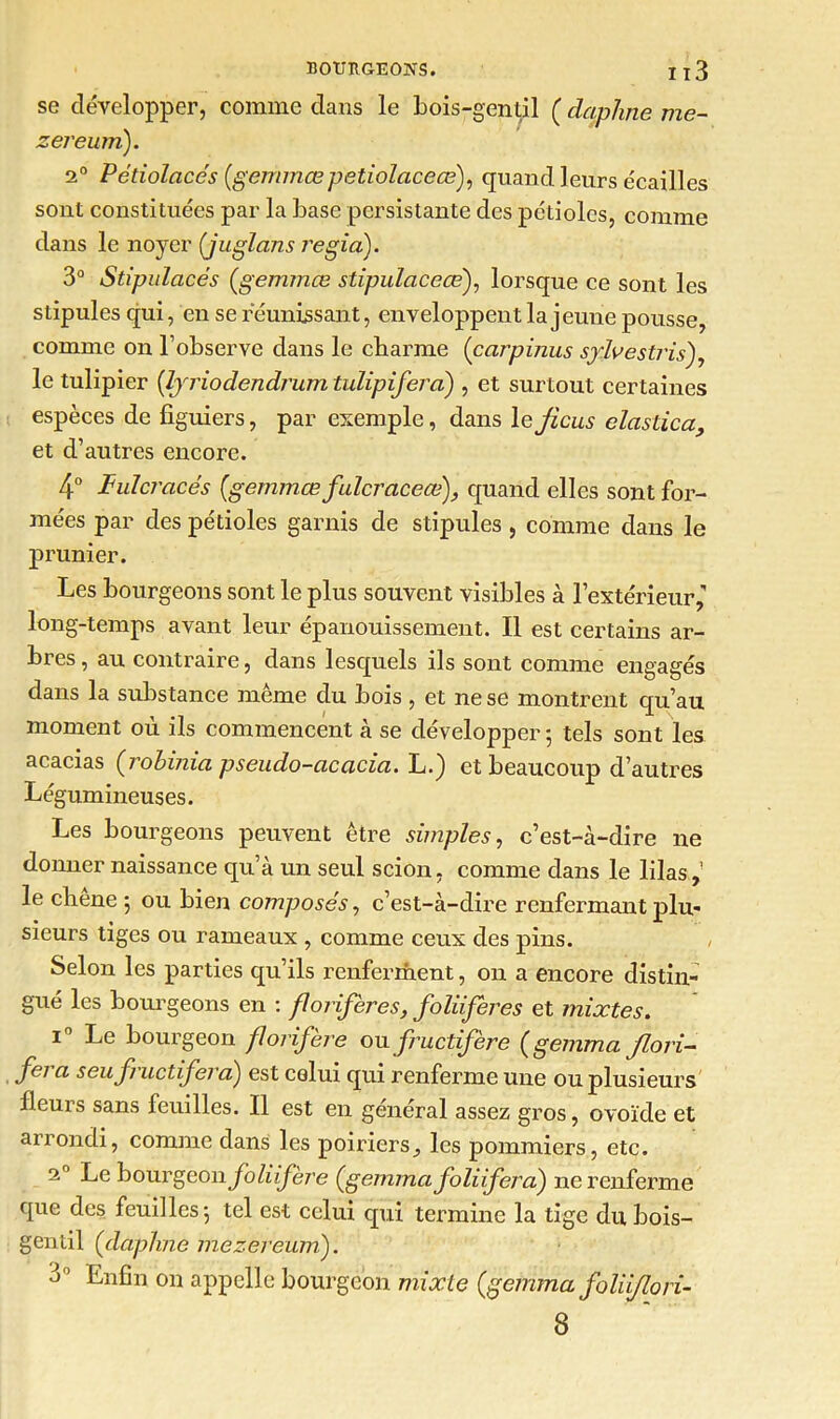 se développer, comme dans le bois-gentil ( daphne me- zereurn). 2° Pétiolacés (gemmce petiolaceœf quand leurs écailles sont constituées par la base persistante des pétioles, comme dans le noyer (juglans regia). 3° Stipulacés (gemmce stipulacecef lorsque ce sont les stipules qui, en se réunissant, enveloppent la jeune pousse, comme on l’observe dans le charme (carpinus sylvesti'is), le tulipier (lyriodendrum tulipifera) , et surtout certaines espèces de figuiers, par exemple, dans 1 e ficus clastica, et d’autres encore. 4° lulcracés (gemmce fulcraceœ), quand elles sont for- mées par des pétioles garnis de stipules , comme dans le prunier. Les bourgeons sont le plus souvent visibles à l’extérieur long-temps avant leur épanouissement. Il est certains ar- bres, au contraire, dans lesquels ils sont comme engagés dans la substance même du bois, et ne se montrent qu’au moment où ils commencent à se développer -, tels sont les acacias (robinia pseudo-acacia. L.) et beaucoup d’autres Légumineuses. Les bourgeons peuvent être simples, c’est-à-dire ne donner naissance qu’à un seul scion, comme dans le lilas,1 le cliene 5 ou bien composés, c’est-à-dire renfermant plu- sieurs tiges ou rameaux , comme ceux des pins. Selon les parties qu’ils renferrnent, on a encore distin- gué les bourgeons en : florifères, foliiferes et mixtes. Le bourgeon florifère ou fructifère (gemma flori- fei a seuf actifera^j est celui qui renferme une ou plusieurs fleurs sans feuilles. Il est en général assez gros, ovoïde et arrondi, comme dans les poiriers, les pommiers, etc. 20 Le bourgeon foliifère (gemma foliifera) ne renferme que des feuilles 5 tel est celui qui termine la tige du bois- gentil (daphne mezeWeum). •j Enfin on appelle bourgeon mixte (gemma foliiflori- 8