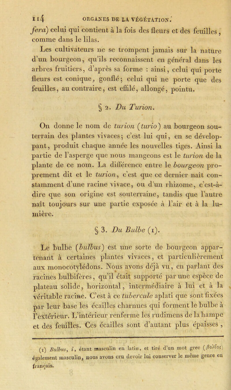 fera) celui qui contient à la fois des fleurs et des feuilles , comme dans le lilas. Les cultivateurs ne se trompent jamais sur la nature d’un bourgeon, qu’ils reconnaissent en général dans les arbres fruitiers, d’après sa forme : ainsi, celui qui porte fleurs est conique, gonflé; celui qui ne porte que des feuilles, au contraire, est effilé, allongé, pointu. § 2. Du Turion. On donne le nom de Un ion (turio) au bourgeon sou- terrain des plantes vivaces; c’est lui qui, en se dévelop- pant, produit chaque année les nouvelles tiges. Ainsi la partie de l’asperge que nous mangeons est le turion de la plante de ce nom. La différence entre le bourgeon pro- prement dit et le turion, c’est que ce dernier naît con- stamment d’une racine vivace, ou d’un rhizome, c’est-à- dire que son origine est souterraine, tandis que l’autre naît toujours sur une partie exposée cà l’air et à la lu- mière. § 3. Du Bulbe (i). Le bulbe (bulbus) est une sorte de bourgeon appar- tenant à certaines plantes vivaces, et particulièrement aux monocotylédons. Nous avons déjà vu, en parlant des racines bulbifères, qu’il était supporté par une espèce de plateau solide, horizontal, intermédiaire à lui et à la véritable racine. C’est à ce tubercule aplati que sont fixées par leur base les écailles charnues qui forment le bulbe à l’extérieur. L’intérieur renferme les rudimens de la hampe et des feuilles. Ces écailles sont d’autant plus épaisses , (i) Bulbus, i, étant masculin en latin, et tiré d’un mot grec (ftoïSo?) également masculin, nous avons cru devoir lui conserver le même genre en français.