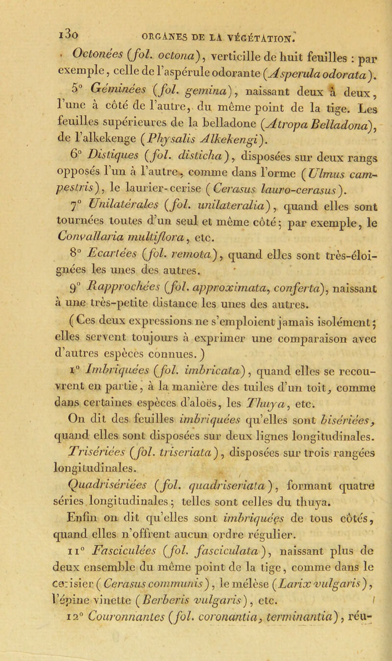 . Octonçes {fol. octona), verticille de huit feuilles : par exemple, celle de 1 aspérule odorante {Asperula odorata). 5° Géminées {fol. gemma), naissant deux à deux, lune à côté de l’autre, du meme point de la tige. Les feuilles supérieures de la belladone {Atropa Belladona), de l’alkekenge (Phy salis Alkekengi). 6° Distiques {fol. disticha), disposées sur deux rangs opposés l’un cà l’autre-, comme dans l’orme ( Ulmus cam-- pestris), le laurier-cerise {Cerasus lauro-cerasus). 7° Unilatérales {fol. unilateralia), quand elles sont tournées toutes d’un seul et même côté 5 par exemple, le Convallaria multiflora, etc. 8° Ecartées {fol. remota), quand elles sont très-éloi- gnées les unes des autres. 9 Rapprochées {fol. approximcita, conferta), naissant a une tres-petite distance les unes des autres. ( Ces deux expressions ne s’emploient jamais isolément 5 elles servent toujours à exprimer une comparaison avec d’autres espèces connues. ) i° Imbriquées {fol. imbricata), quand elles se recou- vrent en partie, à la manière des tuiles d’un toit, comme dans certaines espèces d’alocs, les Thuya, etc. On dit des feuilles imbriquées qu’elles sont bisérièes, quand elles sont disposées sur deux lignes longitudinales. Trisériées {fol. triseriata) , disposées sur trois rangées longitudinales. Quadrisériées {fol. quadriseriata ), formant quatre séries longitudinales 5 telles sont celles du thuya. Enfin on dit qu’elles sont imbriquées de tous côtés, quand elles n’offrent aucun ordre régulier. ii° Fasciculées {fol. fasciculataf naissant plus do deux ensemble du meme point de la tige, comme dans le Cerisier ( Cerasus commuais), le méïèse {Larix vulgaris), l’épine vinelte {Berberis vulgaris), etc. 1 i2° Couronnantes {fol. coronantia, terminantia), réu-