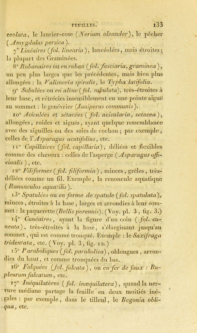 ceolaia, le laurier-rose ( Nerium oleander), le pèclier ( Amygdalus per sic a). f Linéaires (fol. line aria ), lancéolées, mais étroites; la plupart des Graminées. 8° Rubanaii'es ou en ruban (fol. fasciaria, graminea ), un peu plus larges que les précédentes, mais bien plus allongées : la Valisneria spiralis, le Typha latifolia. 9° Subulées ou en alêne {fol. sufulataf très-étroites à leur base, et rétrécies insensiblement en une pointe aigue au sommet : le genévrier {Juniperus commuais f io° Aciculées et sêtacèes (fol. acicularia, selaceaf allongées, roicles et aiguës, ayant quelque ressemblance avec des aiguilles ou des soies de cochon ; par exemple, celles de Y Asparagus acutifolius, etc. ii° Capillaires (fol. capMaria) , déliées et flexibles comme des cheveux : celles de l’asperge ( Asparagus offi- cinalis ) , etc. i2° Filiformes (fol. filiformia') , minces , grêles , très- déliées comme un fil. Exemple, la renoncule aquatique ( Ranunculus aquaiilis). i3° Spatulées ou en forme de spatule (fol. spatulataf minces , étroites à la base , larges et arrondies à leur som- met : la pâquerette (Bellis pererinis). (Voy. pl. 3 , fig. 3.) i4° Cunéaires, ayant la figure d’un coin (fol. cu- neata), très-étroites à la base, s’élargissant jusqu’au sommet, qui est comme tronqué. Exemple : le Saxifraga tridentata, etc. (Voy. pl. 3, fig. 12.) 15° Faraboliques (fol. parabolica) , oblongues , arron- dies du haut, et comme tronquées du bas. 16° Falquées (fol. falcala), ou enfer de faux : Bu- pleurum falcatum, etc. iy° Inéquilateres ( fol. inœquïlatera') , quand la ner- vure médiane partage la feuille en deux moitiés iné- gales : par exemple, dans le tilleul, le Bégonia obli-' 1 qua, etc.