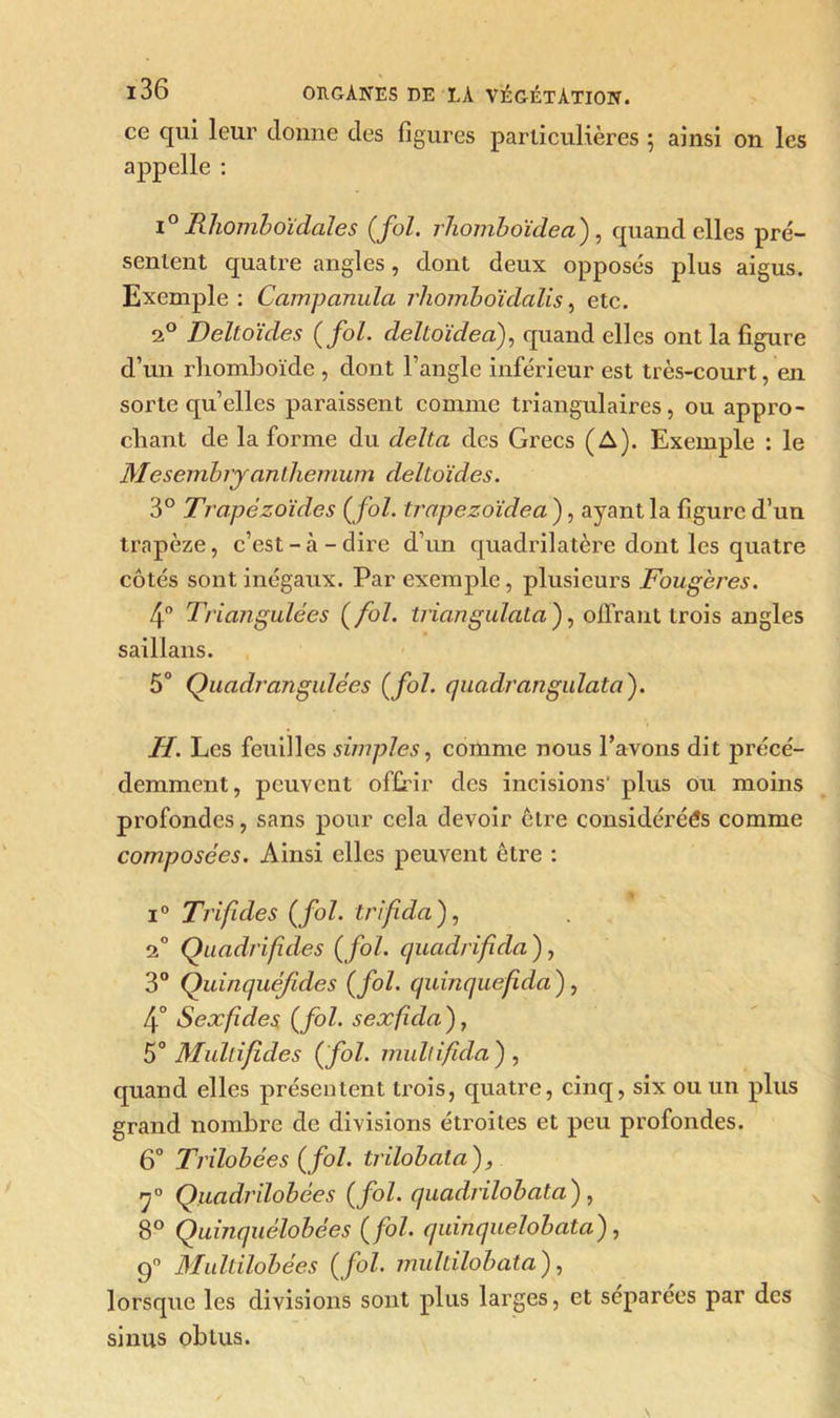 ce qui leur donne des figures particulières ; ainsi on les appelle : i° Rhomboïdales (fol. rhomboïdea ) , quand elles pré- sentent quatre angles, dont deux opposés plus aigus. Exemple: Campanula rhomboïdalis, etc. 2° Deltoïdes (fol. deltoïdeaf quand elles ont la figure d’un rhomboïde , dont l’angle inférieur est très-court, en sorte quelles paraissent comme triangulaires, ou appro- chant de la forme du delta des Grecs (A). Exemple : le Mesembryanthcmum deltoïdes. 3° Trapèzoïdes (fol. trapezoïdea ), ayant la figure d’un trapèze, c’est-à-dire d’un quadrilatère dont les quatre côtés sont inégaux. Par exemple, plusieurs Fougères. 4° Triangulées (fol. triangulata ), offrant trois angles saillans. 5° Quadrangulées (fol. quadrangulata'). H. Les feuilles simples, comme nous Pavons dit précé- demment, peuvent offrir des incisions' plus ou moins profondes, sans pour cela devoir être considéréés comme composées. Ainsi elles peuvent être : i° Trifides (fol. trifida ), 2° Qiiadrifides (fol. quadrifda), 3° Quinquéfdes (fol. quinquefida ), 4° Sexfdes (fol. sexfida), 5° Mullifides ( fol. multifida ) , quand elles présentent trois, quatre, cinq, six ou un plus grand nombre de divisions étroites et peu profondes. 6° Trilobées (fol. trilobata), y0 Quadrilobées (fol. quadrilobata) , 8° Quinquélobées (fol. quinquelobata), 9° Multilobées (fol. multilobata ), lorsque les divisions sont plus larges, et séparées par des sinus obtus.