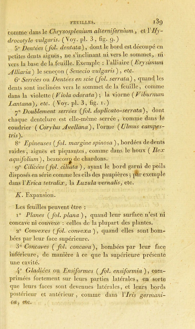 clâiis Ig Chvy s o splenlum allernifernium , et 1 JIy~ drocotyle vulgaris. (Voy. pl. 3 , fig. 9.) 5° Dentées (fol. dentata) , dont le bord est découpé en petites dents aiguës, 11e s inclinant ni vers le sommet, ni vers la base de la feuille. Exemple : l’ailiaire ( Ejjsimwn Alliaria ) le seneçon ( Senecio vulgaris ) , etc. 6° Serrées ou Dentées en scie (fol. s errata) , quand les dents sont inclinées vers le sommet de la feuille, comme dans la violette ( Viola odorata) -, la viorne ( Viburnum Lantana), etc. (Voy. pl. 3, fig. 1.) 70 Doublement serrées (fol. duplicato-serrata), dont chaque dentelure est elle-même serrée , comme dans le coudrier ( Corylus Av ellana), l’orme (Ulmus campes- tris). 8° Epineuses (fol. margine spinosa ), bordées de dents raides , aiguës et piquantes, comme dans le houx ( Ilex aquifolium ), beaucoup de chardons. 90 Cilicées (fol. ciliata ), ayant le bord garni de poils disposés en série comme les cils des paupières •, p'àr exemple dans YErica letralix, la Luzula vernalis, etc. K. Expansion. Les feuilles peuvent être : i° Planes (fol. plana ) , quand leur surface n’est ni concave ni convexe : celles de la plupart des plantes. 20 Convexes {fol. convexa ), quand elles sont bom- bées par leur face supérieure. 3° Concaves (fol. concava), bombées par leur face inférieure, de manière à ce que la supérieure présente une cavité. 4° Gladiées ou Ensiformes ( fol. ensiformia ) , com- primées fortement sur leurs parties latérales, en sorte que leurs faces sont devenues latérales, et leurs bords postérieur et antérieur, comme dans Y fris germani- ca, etc.