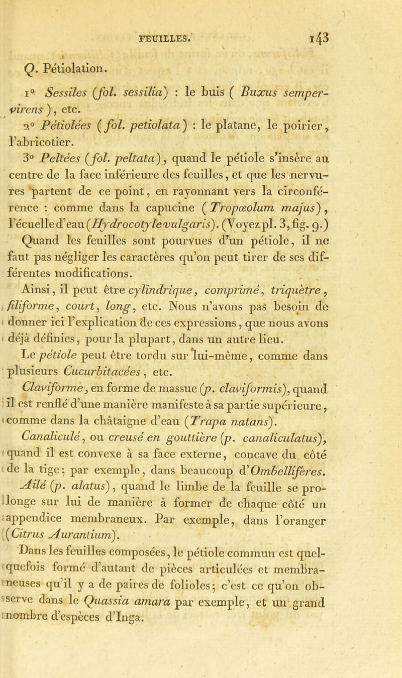 Q. Pétiolation. i° Sessiles (fol. scs s ilia) : le buis ( Buxus semper- viretis ), etc. 20 P étiolées (fol. petiolata) : le platane, le poirier, l’abricotier. 3° Peltées ( fol. pellata), quand le pétiole s’insère au centre de la face inférieure des feuilles, et que les nervu- res partent de ce point, en rayonnant vers la circonfé- rence : comme dans la capucine ( Tropœolum majus), l écuelled’eau(Hydrocotylevulgaris). (Voyezpl. 3,fig, 9.) Quand les feuilles sont pourvues d’un pétiole, il ne faut pas négliger les caractères qu’on peut tirer de ses dif- férentes modifications. Ainsi, il peut être cylindrique, comprimé, triquetre, filiforme, court, long, etc. Nous n’avons pas besoin de donner ici l’explication de ces expressions, que nous avons déjà définies, pour la plupart, dans un autre lieu. Le pétiole peut, être tordu sur lui-même, comme dans plusieurs Cucurbitacées, etc. Claviforme, en forme de massue (p. claviformis), quand il est renflé d’une manière manifeste à sa partie supérieure., 1 comme dans la châtaigne d’eau (Trapa Jiatans). Canaliculé, ou creusé en gouttière (p. canaliculatus), quand il est convexe à sa face externe, concave du côté de la tige-, par exemple, dans beaucoup d'Ombelliferes. Ailé (p. alatus), quand le limbe de la feuille se pro- longe sur lui de manière à former de chaque côté un appendice membraneux. Par exemple, dans l’oranger (Citi'us Auranlium). Dans les feuilles composées, le pétiole commun est quel- quefois forme d’autant de pièces articulées et membra- neuses qu’il y a de paires de folioles 5 c’est ce qu’on ob- serve dans le Quassia amara par exemple, et un grand nombre d’espèces d’Inga.