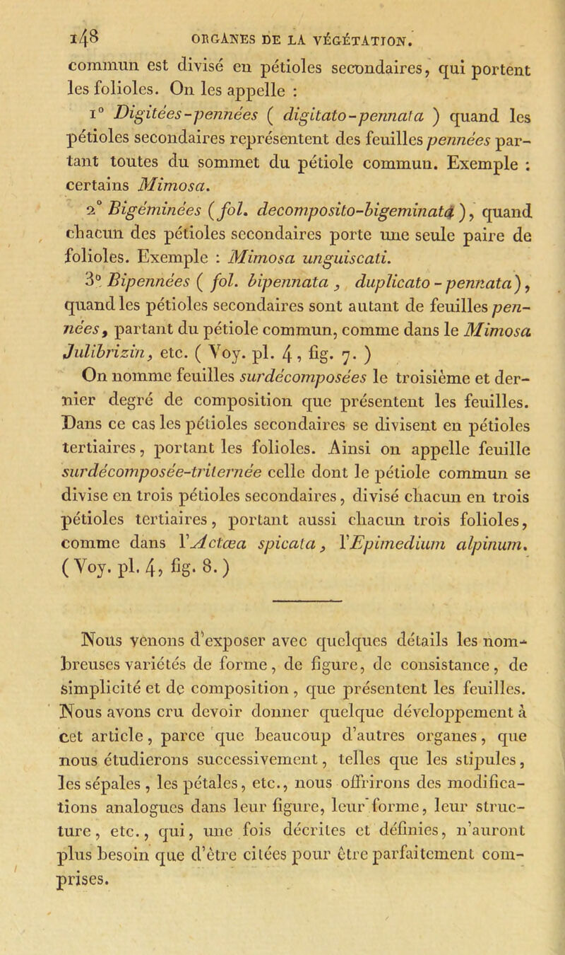 commun est divisé en pétioles secondaires, qui portent les folioles. On les appelle : i° Digitées-pennées ( digitato-pennala ) quand les pétioles secondaires représentent des feuilles pennées par- tant toutes du sommet du pétiole commun. Exemple : certains Mimosa. 2° Bigéminées (fol, decomposito-bigeminatd ), quand chacun des pétioles secondaires porte mie seule paire de folioles. Exemple : Mimosa unguiscati. 3° Bipennées ( fol. bipennata , duplicato - pemiata), quand les pétioles secondaires sont autant de feuilles pen- nées , partant du pétiole commun, comme dans le Mimosa Julibrizin, etc. ( Yoy. pl. 4, fig. 7. ) On nomme feuilles surdécomposées le troisième et der- nier degré de composition que présentent les feuilles. Dans ce cas les pétioles secondaires se divisent en pétioles tertiaires, portant les folioles. Ainsi on appelle feuille surdécomposée-trilernée celle dont le pétiole commun se divise en trois pétioles secondaires, divisé chacun en trois pétioles tertiaires, portant aussi chacun trois folioles, comme dans Y Actœa s pic ata, YEpimeclium alpinum. (Yoy. pl. 4, fig. 8.) Nous venons d'exposer avec quelques détails les nom- breuses variétés de forme, de figure, de consistance, de simplicité et de composition, que présentent les feuilles. Nous avons cru devoir donner quelque développement à cet article, parce que beaucoup d’autres organes, que nous étudierons successivement, telles que les stipules, les sépales , les pétales, etc., nous offrirons des modifica- tions analogues dans leur figure, leur forme, leur struc- ture, etc., qui, une fois décrites et définies, n’auront plus besoin que d’être citées pour être parfaitement com- prises.