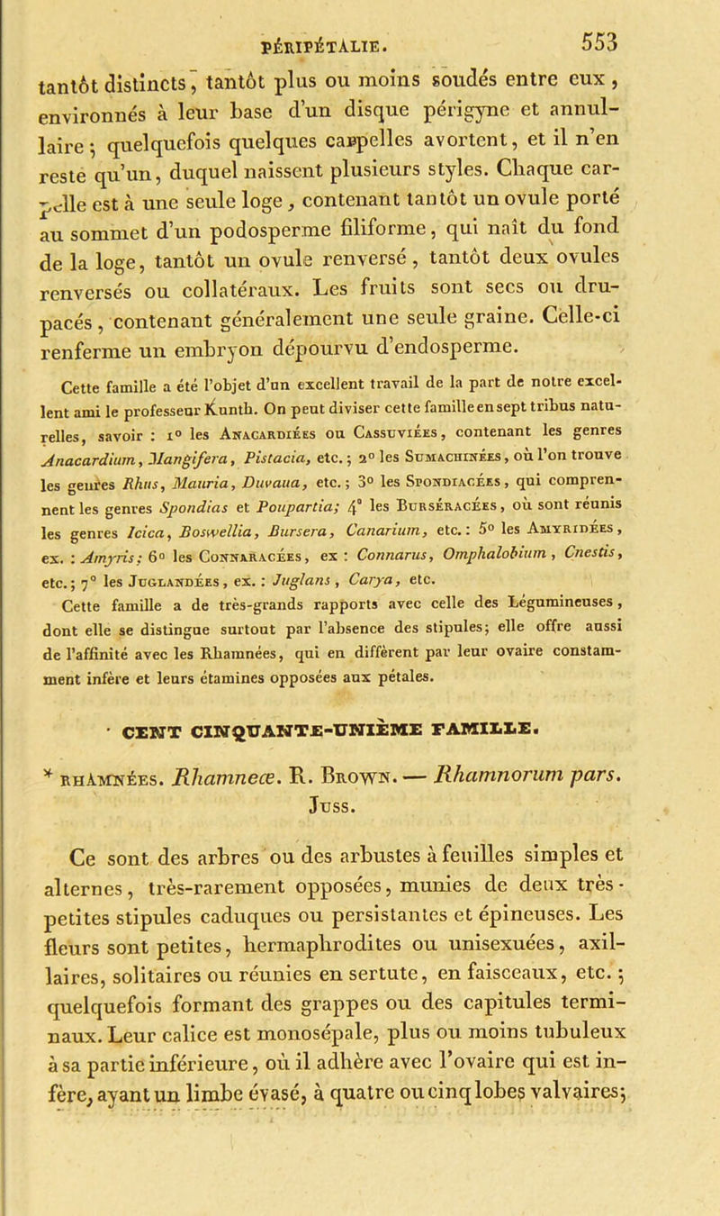 tantôt distincts j tantôt plus ou moins soudés entre eux , environnés à leur base d’un disque périgyne et annul- laire; quelquefois quelques ca»pelles avortent, et il n’en reste qu’un, duquel naissent plusieurs styles. Cliaque car- pelle est à une seule loge, contenant tantôt un ovule porté au sommet d’un podosperme filiforme, qui naît du fond de la loge, tantôt un ovule renversé, tantôt deux ovules renversés ou collatéraux. Les fruits sont secs ou dru- pacés , contenant généralement une seule graine. Celle-ci renferme un embryon dépourvu d’endosperme. Cette famille a été l’objet d’un excellent travail de la part de notre excel- lent ami le professeur k.unth. On peut diviser cette famille en sept tribus natu- relles, savoir : i° les Anacardiées ou Cassuviees , contenant les genres Anacardium, llangifera, Pistacia, etc. ; 2° les Scmachinées , où l’on trouve les genres Rhus, Mauria, Duvaua, etc.; 3° les Spondiacees, qui compren- nent les genres Spondias et Poupartia; 4° les BurséracÉes , où sont réunis les genres Icica, Boswellia, Bursera, Canarium, etc.: 5° les AmyridÉes , ex. : Amyris: 6° les CoîïnaracÉes , ex: Connarus, Omphalobium, Çnestis, etc.; 70 les Jugrandées, ex. : Juglans , Carya, etc. Cette famille a de très-grands rapports avec celle des Légumineuses , dont elle se distingue surtout par l’absence des stipules; elle offre aussi de l’affinité avec les Rhamnées, qui en diffèrent par leur ovaire constam- ment infère et leurs étamines opposées aux pétales. • CENT CINQUANTJE-UNIEME FAMI1LE. * rhàmïïées. Rliamnece. R. Brown. — Jihamnorum pars. Juss. Ce sont des arbres ou des arbustes à feuilles simples et alternes, très-rarement opposées, munies de deux très - petites stipules caduques ou persistantes et épineuses. Les fleurs sont petites, hermaphrodites ou unisexuées, axil- laires, solitaires ou réunies en sertute, en faisceaux, etc. ; quelquefois formant des grappes ou des capitules termi- naux. Leur calice est monosépale, plus ou moins tubuleux à sa partie inférieure, où il adhère avec l’ovaire qui est in- fère, ayant un limbe évasé, à quatre oucinqlobes valvaires;