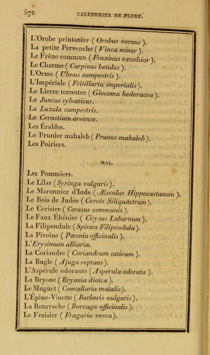 L’Orobe printanier ( Orobus vemus ). La petite Pervenche ( Vinca minor ). Le Frêne commun (Fraxinus excelsior). Le Charme ( Carpinus betulus ). L Orme ( Ulnius campestris ). L’Impériale ( Fritillaria imperialis ). Le Lierre terrestre ( Glecoma hederacea). Le Juncus sylvaticus. La Luzula campestris. Le Cerastium aivense. Les Erables. Le Prunier inahaleb ( Prunus mahaleb). Les Poiriers. MAI. üi[Af Les Pommiers. Le Lilas (Syringa vulgaris). Le Maronnier d’Inde ( Æsculus Hippocastanum ). Le Bois de Judée ( Cercis Siliquastrum). Le Cerisier- ( Cerasus commuais ). Le Faux Ébénier ( Ci/y sus Laburnum). La Filipendule (Spirœa Filipendula ). La Pivoine ( Pœonia officinalis ). LFrysimum alliaria. La Coriandre ( Coriandrum satwurn ). La Bugle ( Ajugareptans). L’Aspérule odorante ( Aspenda odorata ), La Bryone ( Biyonia dioïca ). Le Muguet ( Co/wallaria maïalis). L’Epine-Vinette ( Berberis vulgaris). La Bourrache ( Borrago officinalis ). Le Fraisier ( Fragaria vesca).