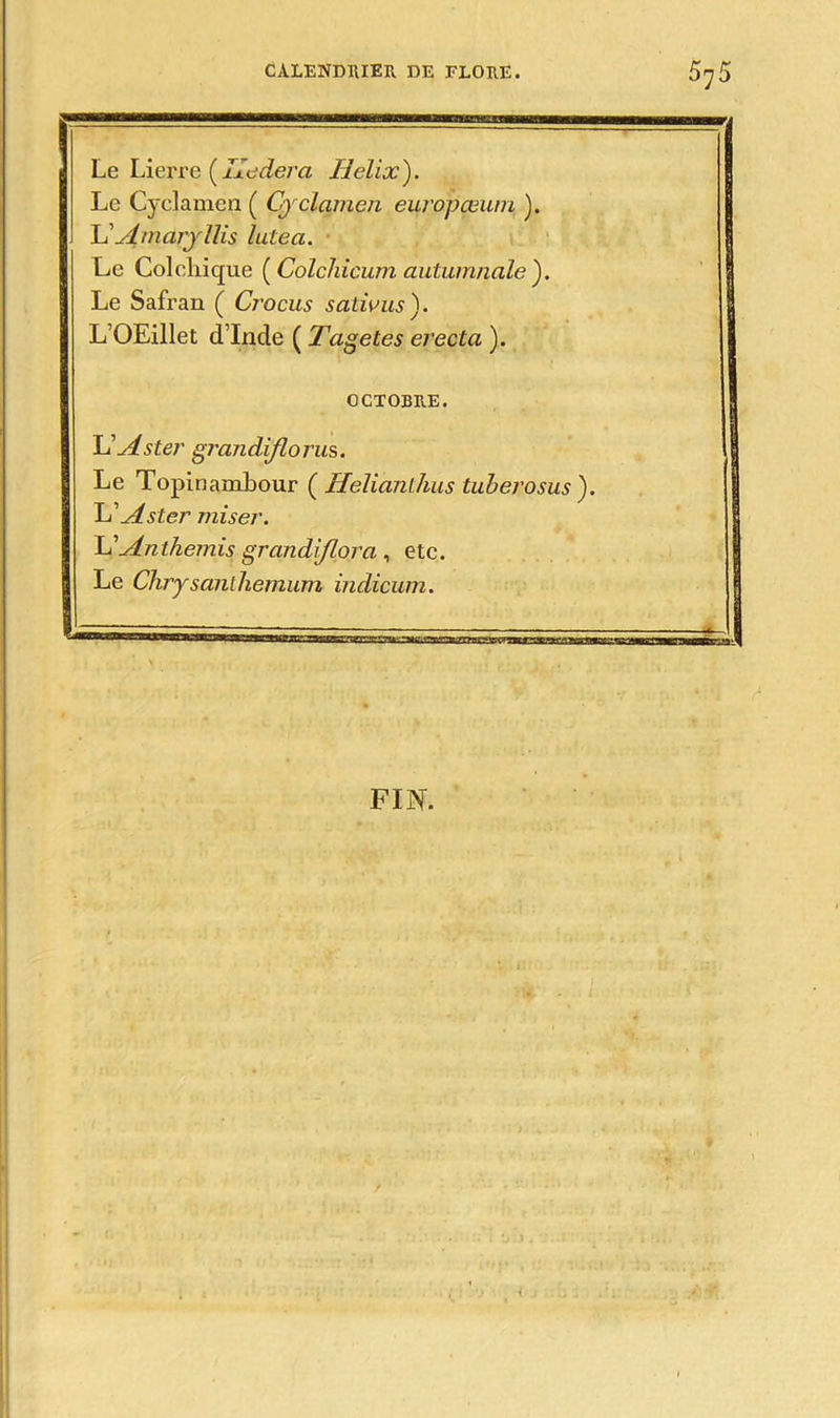 Le Lierre ( Iledera H dix). Le Cyclamen ( Cydamen europœum ). L’Amaryllis lutea. Le Colchique ( Colchicum autumnale ). Le Safran ( Cjvcus sativus). L OEillet d’Inde ( Tagetes erecta ). OCTOBRE. Y! Aster grcnidiflorus. Le Topinambour ( Helianthus tuberosus). Y' Aster miser. Y!Anthémis grandi/lorci, etc. Le Chrysanthemum indicum. FIN.