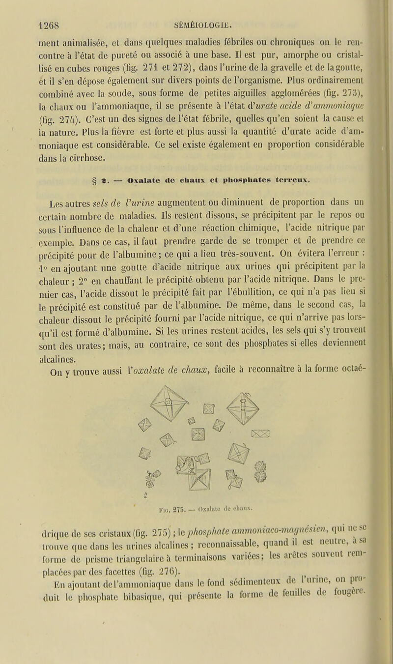 ment animaliséc, ot dans quelques maladies fébriles ou chroniques on le ren- contre à l'état de pureté ou associé à une base. Il est pur, amorphe ou cristal- lisé en cubes rouges (lig. 271 et 272), dans l'urine de la gravelle et de la goutte, et il s'en dépose également sur divers points de l'organisme. Plus ordinairement combiné avec la soude, sous forme de petites aiguilles agglomérées (fig. 273), la cliaux ou l'ammoniaque, il se présente à l'état iVurate acide d'ammoniaque (fig. 21U). C'est un des signes de l'état fébrile, quelles qu'en soient la cause et la nature. Plus la fièvre est forte et plus aussi la quantité d'urate acide d'am- moniaque est considérable. Ce sel existe également en proportion considérable dans la cirrhose. % Z. — Oxalatc de cbaux ot pbosphatcs terreux. Les autres se/s c?e /'wrme augmentent ou diminuent de proportion dans un certain nombre de maladies. Ils restent dissous, se précipitent par le repos ou sous l'influence de la chaleur et d'une réaction chimique, l'acide nitrique par exemple. Dans ce cas, il faut prendre garde de se tromper et de prendre ce précipité pour de l'albumine; ce qui a lieu très-souvent. On évitera l'erreur : 1« en ajoutant une goutte d'acide nitrique aux urines qui précipitent par la chaleur ; 2° en chauffant le précipité obtenu par l'acide nitrique. Dans le pre- mier cas, l'acide dissout le précipité fait par l'ébuUition, ce qui n'a pas lieu si le précipité est constitué par de l'albumine. De même, dans le second cas, la chaleur dissout le précipité fourni par l'acide nitrique, ce qui n'arrive pas lors- qu'il est formé d'albumine. Si les urines restent acides, les sels qui s'y trouvent sont des urates; mais, au contraire, ce sont des phosphates si elles deviennent alcalines. On y trouve aussi Voxalate de chaux, facile à reconnaître à la forme octaé- Kiu. 275. — OxiiliUe lie t'ImiiN. dri(iuc de ses cristaux (lig. 275) ; le phosphate ammoniaco-moynésicn, ([ui ne se trouve (pie dans les urines alcalines; reconnaissable, quand d est neutre, a.sa forme de prisme triangulaire h tenuinaisons variées; les arêtes souvent rem- placées par des facettes (fig. 276). En ajoutant de l'ammoniaque dans le fond sédimentcux de l'urmc, on pro- duit le phosphate bibasique, qui présente la forme de feuilles de fougère.