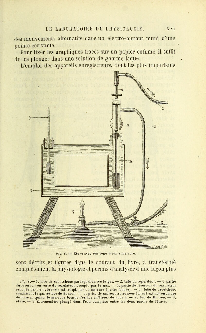 des mouvements alternatifs clans un électro-aimant muni d'une pointe écrivante. Pour fixer les graphiques tracés sur un papier enfumé, il suffit de les plonger dans une solution de gomme laque. L'emploi des appareils enregistreurs, dont les plus importants Fig. V. — Étuve avec son régulateur à mercure. sont décrits et figurés dans le courant du livre, a transformé complètement la physiologie et permis d'analyser d'une façon plus Fig.Y.— 1, tube de caoutchouc par lequel arrive le gaz. — 2, tube du régulateur. — 3, partie du réservoir en verre du régulateur occupée par le gaz. — 4, partie du réservoir du régulateur occupée par l'air; le reste est rempli par du mercure (partie foncée). — 5, tube de caoutchouc conduisant le gaz au bec de Bunsen. — 6, prise de gaz accessoire pour éviter l'extinction du bec de Bunsen quand le mercure bouche l'orifice inférieur du tube 2. — 7, bec de Bunsen. — 8, étuve. — 9, thermomètre plongé dans l'eau comprise entre les deux paiois de l'étuve.
