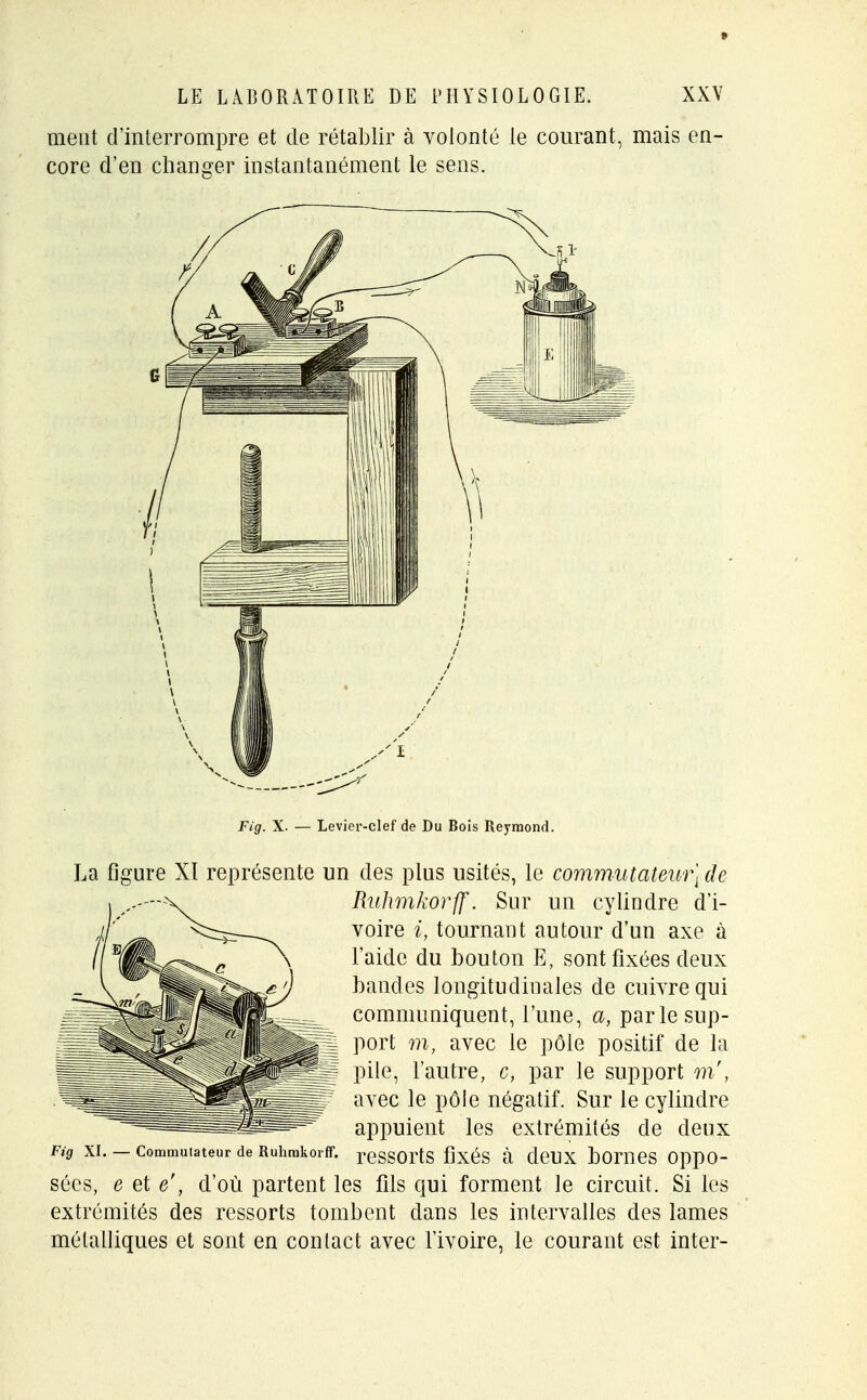 La figure XI représente un des plus usités, le commutateur] de Ruhmkorff. Sur un cylindre d'i- voire i, tournant autour d'un axe à l'aide du bouton E, sont fixées deux bandes longitudinales de cuivre qui communiquent, l'une, a, parle sup- port m, avec le pôle positif de la pile, l'autre, c, par le support m', avec le pôle négatif. Sur le cylindre appuient les extrémités de deux Fig XI. — Commutateur de Ruhmkorff. reSSOrtS fixés à ddlX bûmes OppO- sées, e et e', d'où partent les fils qui forment le circuit. Si les extrémités des ressorts tombent dans les intervalles des lames métalliques et sont en contact avec l'ivoire, le courant est inter-