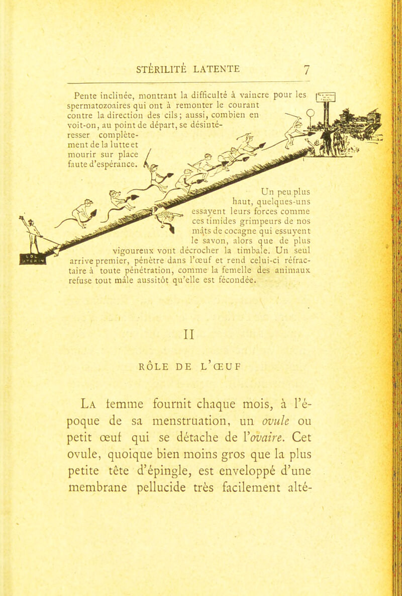 Pente inclinée, montrant la difficulté à vaincre pour les spermatozoaires qui ont à remonter le courant contre la direction des cils; aussi, combien en voit-on, au point de départ, se désinté- resser complète- ment de la lutte mourir sur pl faute d'espérance essayent leurs forces comme ces timides grimpeurs de nos mâts de cocagne qui essuyent ie savon, alors que de plus vigoureux vont décrocher la timbale. Un seul arrive premier, pénètre dans l'œuf et rend celui-ci réfrac- taire à toute pénétration, comme la femelle des animaux refuse tout mâle aussitôt qu'elle est fécondée. II RÔLE DE l'œuf La temme fournit chaque mois, à l'é- poque de sa menstruation, un ovule ou petit œuf qui se détache de Vovaire. Cet ovule, quoique bien moins gros que la plus petite tête d'épingle, est enveloppé d'une membrane pellucide très facilement alté-