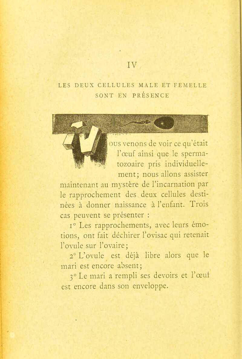 IV LES DEUX CELLULES MALE ET FEMELLE SONT EN PRÉSENCE ous venons de voir ce qu'était l'œuf ainsi que le sperma- tozoaire pris individuelle- ment; nous allons assister maintenant au m5-stère de l'incarnation par le rapprochement des deux cellules desti- nées à donner naissance à l'enfant. Trois cas peuvent se présenter : 1° Les rapprochements, avec leurs émo- tions, ont fait déchirer l'ovisac qui retenait l'ovule sur l'ovaire ; 2° L'ovule est déjà libre alors que le mari est encore absent; 3° Le mari a rempli ses devoirs et l'œut est encore dans son enveloppe.