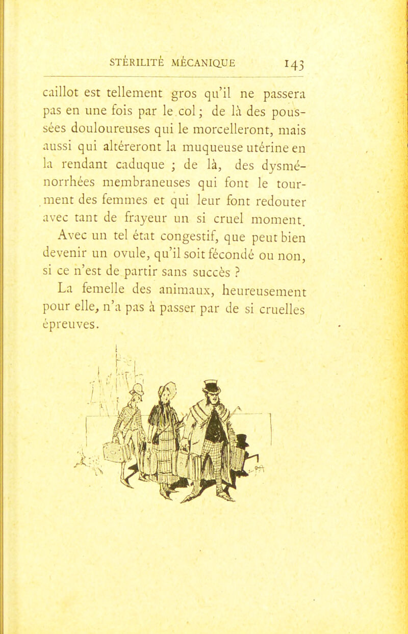 caillot est tellement gros qu'il ne passera pas en une fois par le col ; de là des pous- sées douloureuses qui le morcelleront, mais aussi qui altéreront la muqueuse utérine en la rendant caduque ; de là, des dysmé- norrhées membraneuses qui font le tour- ment des femmes et qui leur font redouter avec tant de frayeur un si cruel moment. Avec un tel état congestif, que peut bien devenir un ovule, qu'il soit fécondé ou non, si ce n'est de partir sans succès ? La femelle des animaux, heureusement pour elle, n'a pas à passer par de si cruelles épreuves.