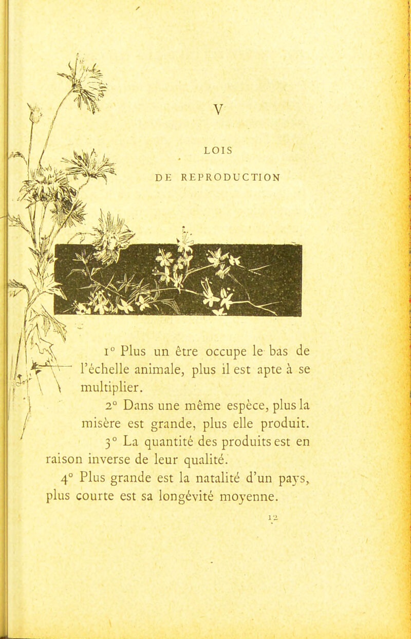 V^, 1° Plus un être occupe le bas de ^ \l'échelle animale, plus il est apte à se \ \ multiplier. 2° Dans une même espèce, plus la misère est grande, plus elle produit. 3° La quantité des produits est en raison inverse de leur qualité. 4° Plus grande est la natalité d'un pa5's, plus courte est sa longévité moyenne.