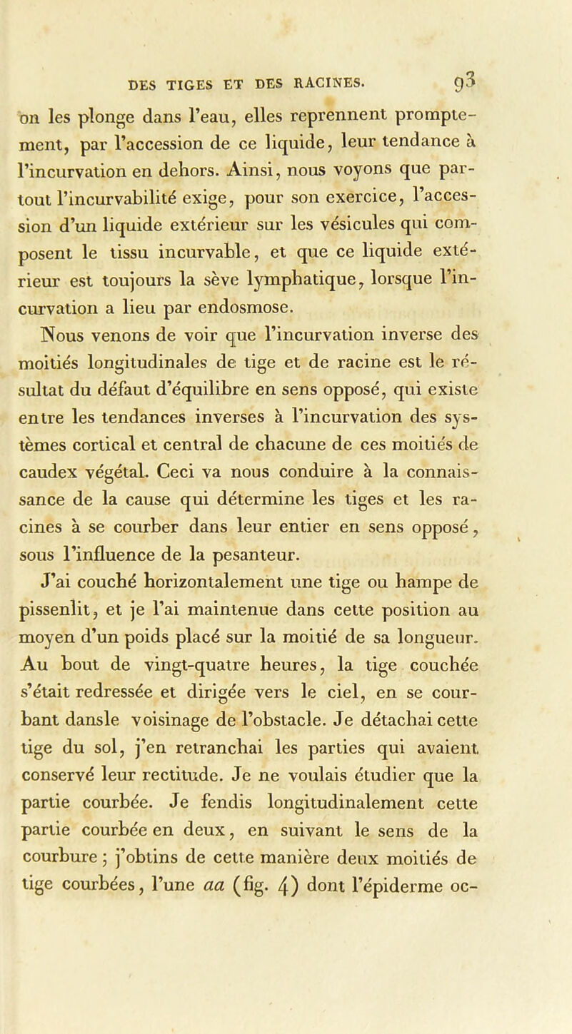 on les plonge dans l’eau, elles reprennent prompte- ment, par l’accession de ce liquide, leur tendance à l’incurvation en dehors. Ainsi, nous voyons que par- tout l’incurvabilité exige, pour son exercice, l’acces- sion d’un liquide extérieur sur les vésicules qui com- posent le tissu incurvahle, et que ce liquide exté- rieur est toujours la sève lymphatique, lorsque l’in- curvation a lieu par endosmose. Nous venons de voir que l’incurvation inverse des moitiés longitudinales de tige et de racine est le ré- sultat du défaut d’équilibre en sens opposé, qui existe entre les tendances inverses à l’incurvation des sys- tèmes cortical et central de chacune de ces moitiés de caudex végétal. Ceci va nous conduire à la connais- sance de la cause qui détermine les tiges et les ra- cines à se courber dans leur entier en sens opposé, sous l’influence de la pesanteur. J’ai couché horizontalement une tige ou hampe de pissenlit, et je l’ai maintenue dans cette position au moyen d’un poids placé sur la moitié de sa longueur. Au bout de vingt-quatre heures, la tige couchée s’était redressée et dirigée vers le ciel, en se cour- bant dansle voisinage de l’obstacle. Je détachai cette tige du sol, j’en retranchai les parties qui avaient conservé leur rectitude. Je ne voulais étudier que la partie courbée. Je fendis longitudinalement cette partie courbée en deux, en suivant le sens de la courbure ; j’obtins de cette manière deux moitiés de tige courbées, l’une aa (fig. 4) dont l’épiderme oc-