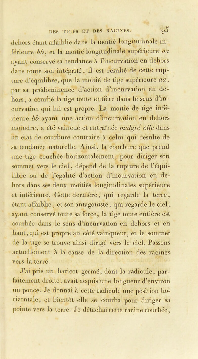 dehors élanl affaiblie dans la moitié lonj^itudinale in- lérieure hb^ et la moitié longitudinale sujDérieure aa ayant conservé sa tendance à l’incurvation en dehors dans toute son intégrité, il est résulté de cette rup- ture d’équilibre, que la moitié de tige supérieure art, par sa prédominence d’action d’incurvation en de- hors, a courbé la tige toute entière dans le sens d’in- curvation qui lui est propre. La moitié de tige infé- rieure bb ayant une action d’incurvation en dehors moindre, a été vaincue et entraînée malgré elle dans un état de courbure contraire à celui qui résulte de sa tendance naturelle. Ainsi, la courbure que prend une tige couchée horizontalement, pour diriger son sommet vers le ciel, dépend de la rupture de l’éc[ui- libre ou de l’égalité d’action d’incurvation en de- hors dans ses deux moitiés longitudinales supérieure et inférieure. Cette dernière, qui regarde la terre, étant affaiblie, et son antagoniste, c[ui regarde le ciel,, ayant conservé toute sa force, la tige toute entière est courbée dans le sens d’incurvation en dehors et en haut, qui est propre au côté vainqueur, et le sommet de la tige se trouve ainsi dirigé vers le ciel. Passons actuellement à la cause de la direction des racines vers la terre. J’ai pris un haricot germé, dont la radicule, par- faitement droite, avait acquis une longueur d’environ un ponce. Je donnai à cette radicule une position ho- rizontale, et bientôt elle se courba pour diriger sa pointe vers la terre. Je détachai cette racine courbée,