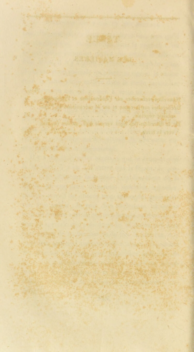 \ * • € ' S* % ^^^ **^***^*^^^** J ‘é^ r** - ' • '• • _^r i T. . . ' •/■ '** *'.' ■ ' '*■■' ■ • v*6t*ii^^i *>»»/• * ‘«Vil*' ^ .■ '■ ' ' ' * ‘-.-vN .• -1 .- ■r»*‘-.V'W.-••■'' : ■ ., N-'f^.- ' ,'f^ ■ I.... i • • ■. I ■,« • I • •■■ ^ ^• • > < »* . • . ■ ' ■' vt • ' :v<*-‘ r^ . .M . - ■ '■■ :•'/; >.‘' ■ • •'=»'' . • V'» ■ ■ ., - 'A—’ •■ ' • « ■'•’:/^v ^7' Vi--i *■*