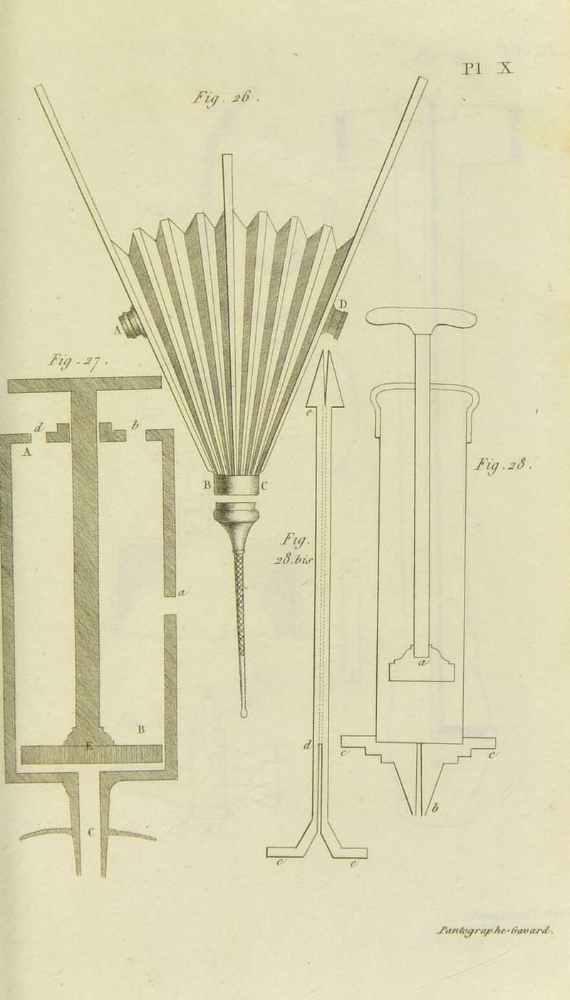 Tùj. a(> ■ J*an4oarap/ie • fiavarvï.