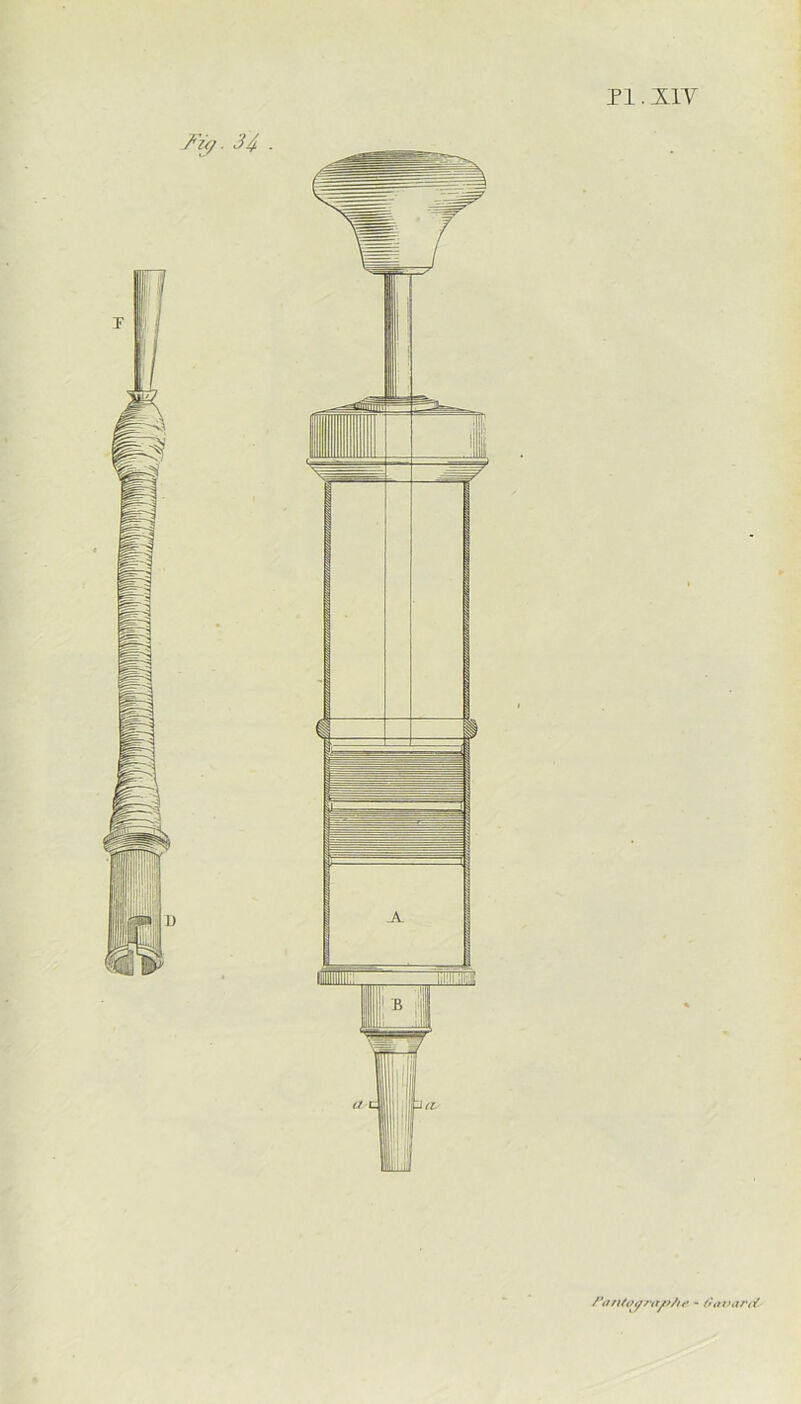 /’<i ntoy/ut/>/><> - fi avant-