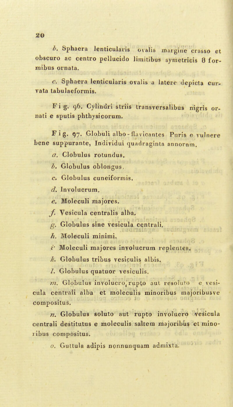 Z-. Sphaera lenticulaiis ovalis margine crasso et obscuro ac centro pellucido limitibus symetricis 0 for- mibus ornata. c. Sphaera lenticuiaris ovalis a latere depicta cur- vata tabulaeformis. Fig. 96. Cylindri striis transversalibus nigris or- nati e sputis phthysicorum. Fig. 97. Globuli albo-ilavicantes Puris e vulnere bene suppurante, Individui quadraginta annornm. a. Clobulus rotundus. h. Globulus oblongus. c. Globulus cuneiformis. d. Involucrum. e. Moleculi majores. f. Vesicula centralis alba. g. Globulus sine vesicula centrali. h. Moleculi minimi. i' Moleculi raajores involucrum replentes. /{. Globulus tribus vesiculis albis. /. Globulus quatuor vesiculis. m. Globulus involucro,'rupto aul resoluto e vesi- cula centrali alba et moleculis minoribus majoribusve compositus. n. Globulus soluto aut rupto involuero vesicula oentrali destitutus e moleculis saltem majoribus et mino- jibus compositus. o. Guttula adipis nonnunquam admixta.