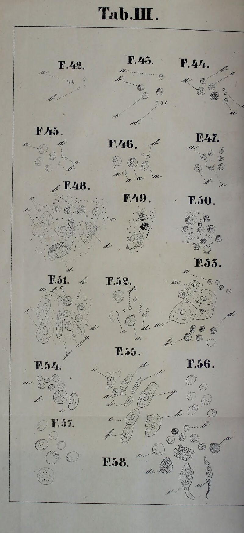 Tali.] T.42. T.45. T.44. s 4 0 r.45. E48. o o E4r. @ Q # E.49. T.51. E.5a. E50. E55. E54. . ,;E51 E55. # E58.
