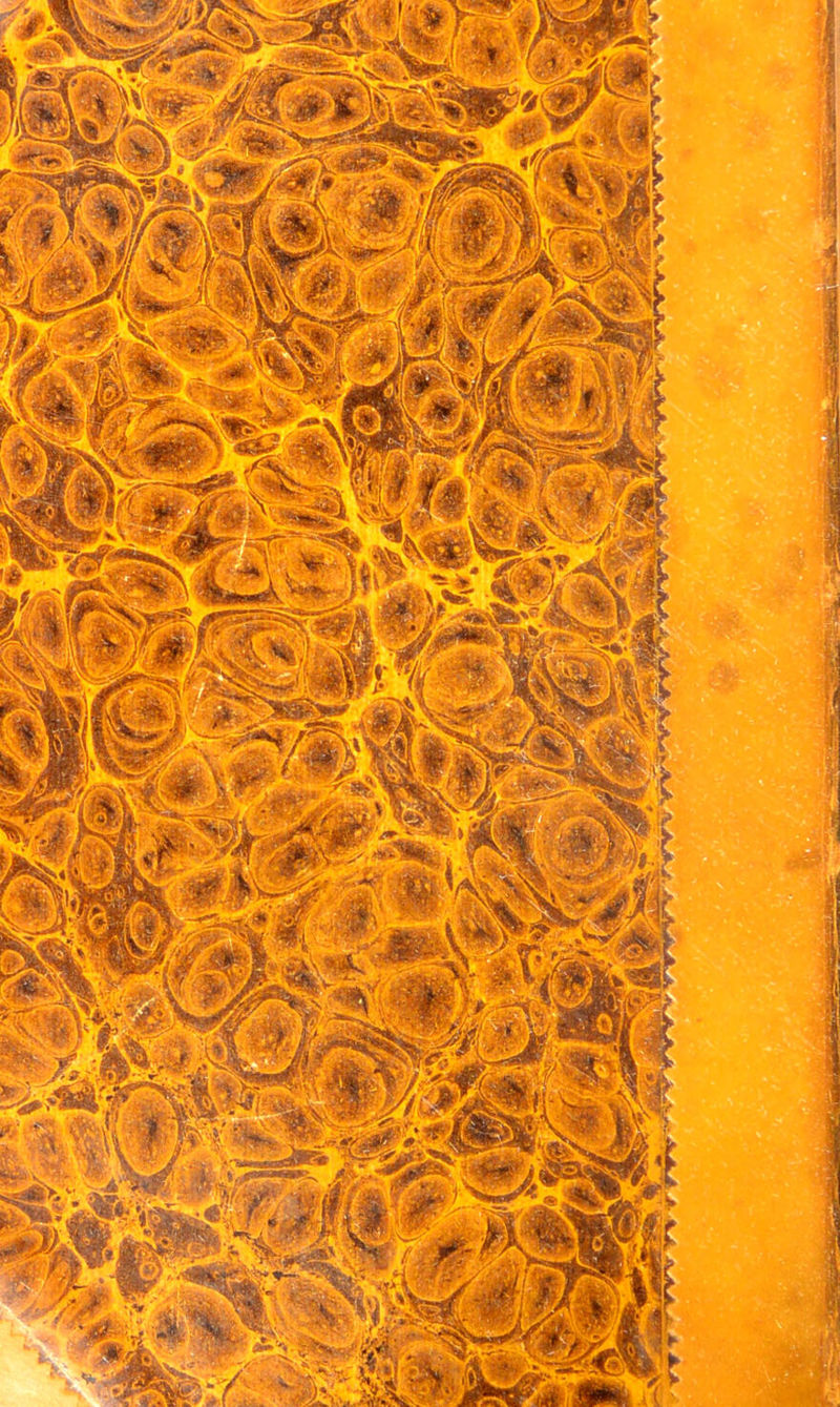 No text description is available for this image