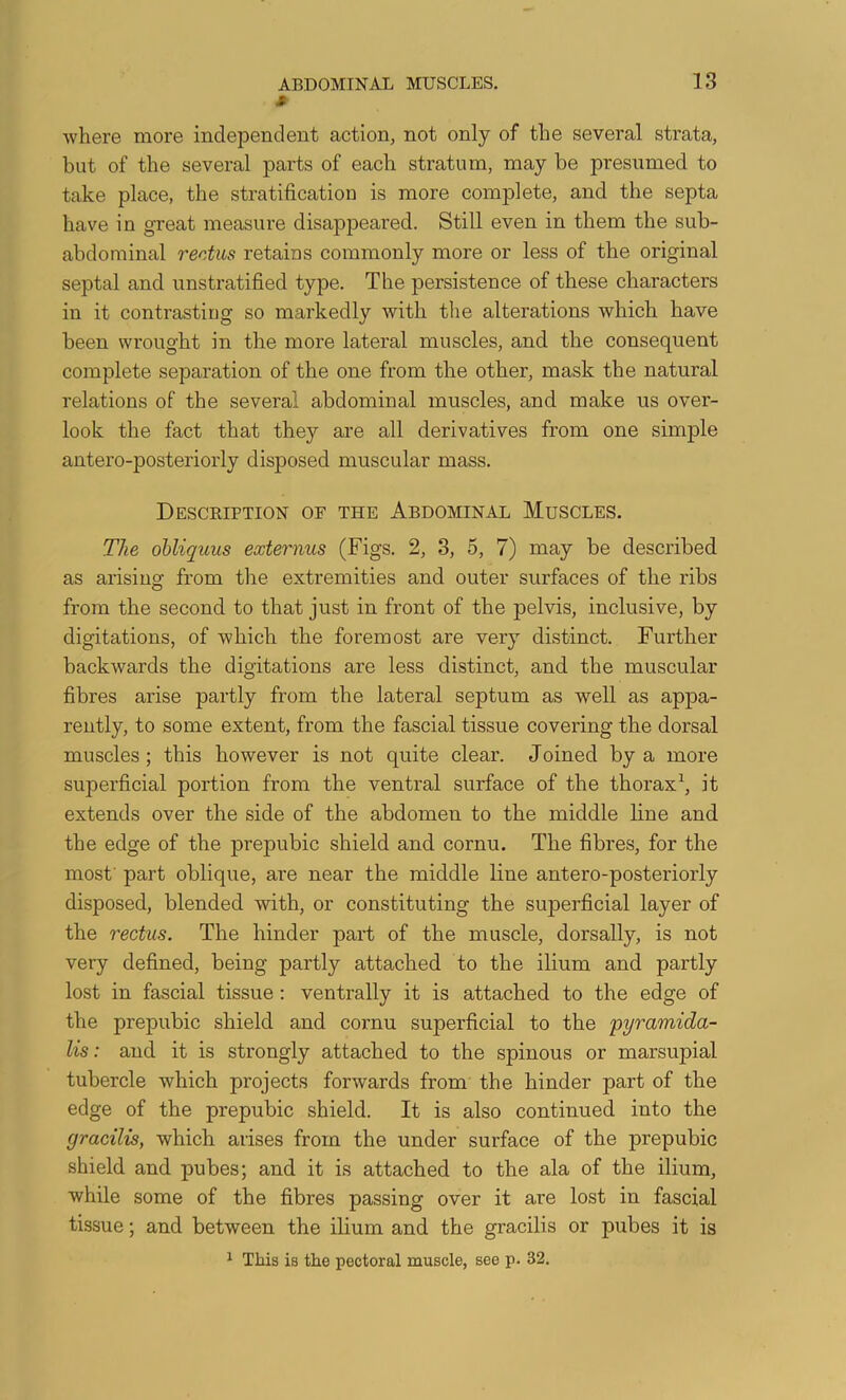 » where more independent action, not only of the several strata, but of the several parts of each stratum, may be presumed to take place, the stratification is more complete, and the septa have in great measure disappeared. Still even in them the sub- abdominal rectus retains commonly more or less of the original septal and unstratified type. The persistence of these characters in it contrasting so markedly with the alterations which have been wrought in the more lateral muscles, and the consequent complete separation of the one from the other, mask the natural relations of the several abdominal muscles, and make us over- look the fact that they are all derivatives from one simple antero-posteriorly disposed muscular mass. Description of the Abdominal Muscles. The obliquus externus (Figs. 2, 3, 5, 7) may be described as arising from the extremities and outer surfaces of the ribs from the second to that just in front of the pelvis, inclusive, by digitations, of which the foremost are very distinct. Further backwards the digitations are less distinct, and the muscular fibres arise partly from the lateral septum as well as appa- rently, to some extent, from the fascial tissue covering the dorsal muscles; this however is not quite clear. Joined by a more superficial portion from the ventral surface of the thorax^, it extends over the side of the abdomen to the middle line and the edge of the prepubic shield and cornu. The fibres, for the most' part oblique, are near the middle line antero-posteriorly disposed, blended with, or constituting the superficial layer of the rectus. The hinder part of the muscle, dorsally, is not very defined, being partly attached to the ilium and partly lost in fascial tissue: ventrally it is attached to the edge of the prepubic shield and cornu superficial to the pyramida- Us: and it is strongly attached to the spinous or marsupial tubercle which projects forwards from the hinder part of the edge of the prepubic shield. It is also continued into the gracilis, which arises from the under surface of the prepubic shield and pubes; and it is attached to the ala of the ilium, while some of the fibres passing over it are lost in fascial tissue; and between the ilium and the gracilis or pubes it is ^ This is the pectoral muscle, see p. 32.