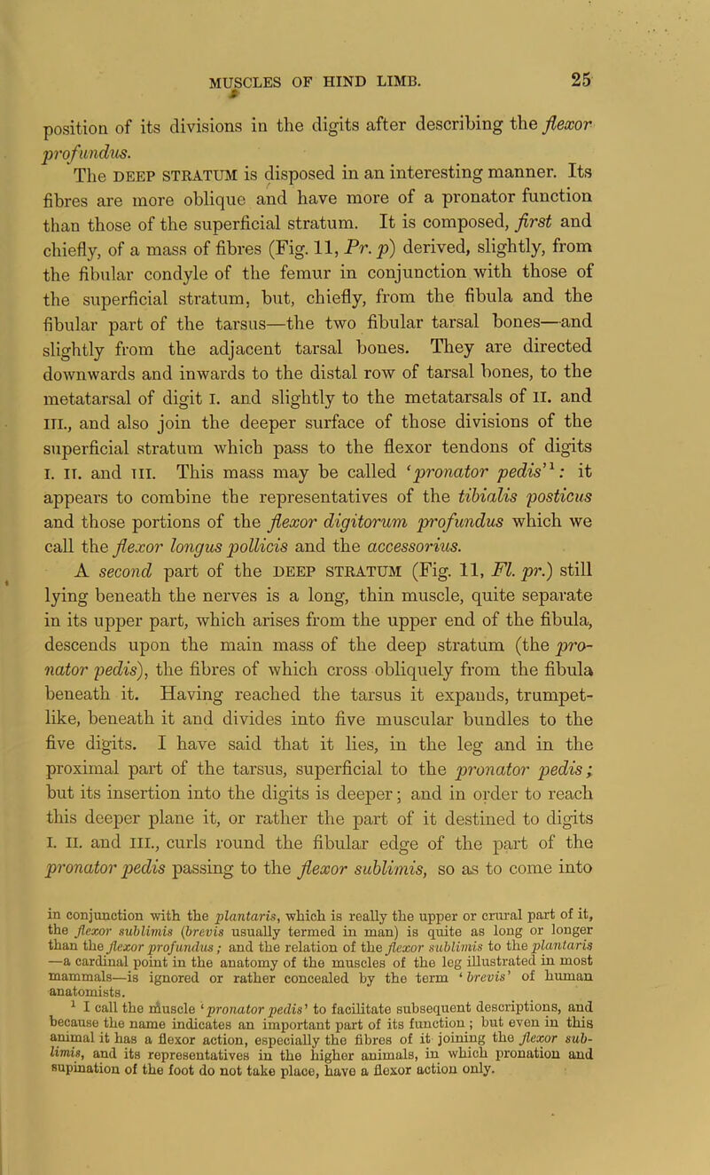 M- position of its divisions in the digits after describing the flexor ’profundiis. The DEEP STRATUM is disposed in an interesting manner. Its fibres are more oblique and have more of a pronator function than those of the superficial stratum. It is composed, flrst and chiefly, of a mass of fibres (Fig. 11, Pr. p) derived, slightly, from the fibular condyle of the femur in conjunction with those of the superficial stratum, but, chiefly, from the fibula and the fibular part of the tarsus—the two fibular tarsal bones—and slightly from the adjacent tarsal bones. They are directed downwards and inwards to the distal row of tarsal bones, to the metatarsal of digit I. and slightly to the metatarsals of il. and III., and also join the deeper surface of those divisions of the superficial stratum which pass to the flexor tendons of digits I. IT. and TIL This mass may be called ‘pronator pedis'^: it appears to combine the representatives of the tibialis posticus and those portions of the flexor digitorum profundus which we call the flexor longus poUicis and the accessorius. A second part of the deep stratum (Fig. 11, FI. pr.) still lying beneath the nerves is a long, thin muscle, quite separate in its upper part, which arises from the upper end of the fibula, descends upon the main mass of the deep stratum (the pro- nator pedis), the fibres of which cross obliquely from the fibula beneath it. Having reached the tarsus it expands, trumpet- like, beneath it and divides into five muscular bundles to the five digits. I have said that it lies, in the leg and in the proximal part of the tarsus, superficial to the pronator pedis; but its insertion into the digits is deeper; and in order to reach this deeper plane it, or rather the part of it destined to digits I. II. and III., curls round the fibular edge of the part of the pronator p>edis passing to the flexor suhlimis, so as to come into in conjunction witli the plantaris, which is really the upper or crural part of it, the Jlexor suhlimis {brevis usually termed in man) is quite as long or longer than the Jlexor profundus; and the relation of i\ie Jlexor suhlimis to ihe plantaris —a cardinal point in the anatomy of the muscles of the leg illustrated in most mammals—is ignored or rather concealed by the term ‘ hrevis ’ of human anatomists. ^ I call the rduscle ‘ pronator pedis ’ to facilitate subsequent descriptions, and because the name indicates an important part of its function ; but even in this animal it has a flexor action, especially the fibres of it joining the Jlexor suh- limis, and its representatives in the higher animals, in which pronation and supination of the foot do not take place, have a flexor action only.