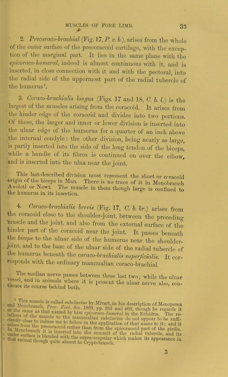 2. Precoraco-hrachial (Fig. 17, P. c. b.), arises from the whole of tlie outer surface of the precoracoid cartilage, with the excep- tion of tlie marginal part. It lies in the same plane with the eptcoraco-hunieml, indeed is almost continuous with it, and is inserted, in close connection with it and with the pectoral, into the radial side of the uppermost part of the radial tubercle of the humerus \ 3. Coraco-brachiaUs longus (Figs. 17 and 18, C. b. 1.) is the largest of the muscles arising from the coracoid. It arises from the hinder edge of the coracoid and divides into two portions. Of these, the larger and inner or lower division is inserted into the ulnar edge of the humerus for a quarter of an inch above the internal condyle: the other division, being nearly as laro-e, is partly inserted into the side of the long tendon of the biceps, while a bundle of its fibres is continued on over the elbow, and is inserted into the ulna near the joint. This last-described division must represent the short or coracoid ongin of tlie biceps in Man. There is no trace of it in Menobranch Axolotl or Newt. The muscle in them though large is confined to the humerus in its insertion. 4. Coraco-brachiaUs brevis (Fig. 17, 0. b. hr.) arises from the coracoid close to the shoulder-joint, between the precedino- nmscle and the joint, and also from the external surface of the hinder part of the coracoid near the joint. It passes beneath the biceps to the ulnar side of the humerus near, the shoulder- joint, and to the base of the ulnar side of the radial tubercle of the humerus beneath the coraco-brachialis superficialis. It cor- responds with the ordinary mammalian coraco-brachial. between these last two; while the ulnar tinues its course behind both. ’ anil MenobrftTif.li „ by in his description of Menopoma as the same fVi i PP- ^^5 and 460, though he regards it lations of ibo cpicoraco-humeral in the Echidna. The re* cientlv clear f ■ mammalian subclavius do not appear to be suflfi. arSrlrtie ° application of that name to it; and it In Menobrnnei P.^®°c^?'C°^^lyatber than from the epicoracoid part of the girdle, under surface is V^ summit of the radial tubercle, and its U..I animal though^aW ““ 3