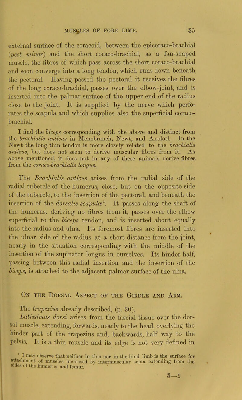 external surface of the coracoid, between the epicoraco-brachial {jpect. minor) and the short coraco-brachial, as a fan-shaped muscle, the fibres of which pass across the short coraco-brachial and soon converge into a long tendon, which runs down beneath the pectoral. Having passed the pectoral it receives the fibres of the long coraco-brachial, passes over the elbow-joint, and is inserted into the palmar surface of the upper end of the radius close to the joint. It is supplied by the nerve which perfo- rates the scapula and which supplies also the superficial coraco- brachial. I find the biceps corresponding with the above and distinct from the hrachialis anticus in Menobranch, Newt, and Axolotl. In the Newt the long thin tendon is more closely related to the hrachialis anticus, but does not seem to derive muscular fibres from it. As above mentioned, it does not in any of these animals derive fibres from the coraco-brachialis longus. The Bracliialis anticus arises from the radial side of the radial tubercle of the humerus, close, but on the opposite side of the tubercle, to the insertion of the pectoral, and beneath the insertion of the dorsalis scapuloi''. It passes along the shaft of the humerus, deiiving no fibres from it, passes over the elbow superficial to the biceps tendon, and is inserted about equally into the radius and ulna. Its foremost fibres are inserted into the ulnar side of the radius at a short distance from the joint, nearly in the situation corresponding with the middle of the insertion of the supinator longus in ourselves. Its hinder half, passing between this radial insertion and the insertion of the biceps, is attached to the adjacent palmar surface of the ulna. On the Dorsal Aspect of the Girdle and Akm. The trap)ezius already described, (p. 30). Latissimus dorsi arises from the fascial tissue over the dor- sal muscle, extending, forwards, nearly to the head, overlying the hinder part of the trapezius and, backwards, half way to the pelvis. It is a thin muscle and its edge is not very defined in ^ I may observe that neither in this nor in the hind limb is the surface for attachment of muscles increased by intermuscular septa extending from the sides of the humerus and femur. 3—2