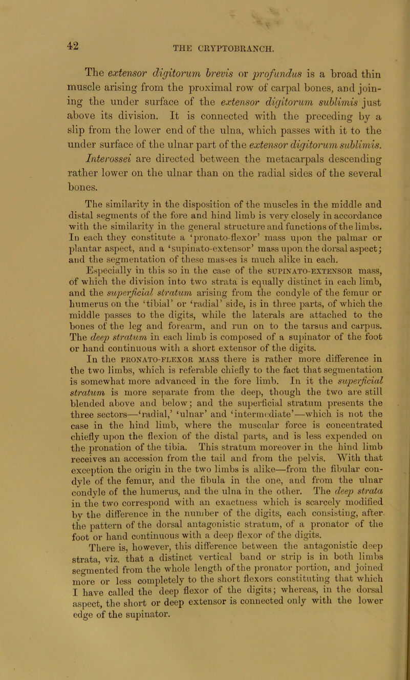 The exte'Tisor digitoriim hrevis or profundus is a broad thin muscle arising from the proximal row of carpal bones, and join- ing the under surface of the extensor digitorum suhlimis just above its division. It is connected with the preceding by a slip from the lower end of the ulna, which passes with it to the under surface of the ulnar part of the extensor digitorum suhlimis. Interossei are directed between the metacarpals descending rather lower on the ulnar than on the radial sides of the several bones. The similarity in the disposition of the muscles in the middle and distal segments of the fore and hind limb is very closely in accordance with the similarity in the general structure and functions of the limbs. In each they constitute a ‘jironato-flexor’ mass u|)on the palmar or plantar aspect, and a ‘supinato-extensor’ mass u])on the doi*sal aspect; and the segmentation of these masses is much alike in each. Especially in this so in the case of the supinato-extexsor ma.ss, of which the division into two strata is equally distinct in each limb, and the superficial stratum arising from the condyle of the femur or Immerus on the ‘tibial’ or ‘radial’ side, is in three parts, of which the middle passes to the digits, while the laterals are attached to the bones of the leg and forearm, and run on to the tarsus and carpus. The deej) stratum in each limb is com})osed of a supinator of the foot or hand continuous with a short extensor of the digits. In the PRONATO-PLEXOU MASS there is rather more difference in the two limbs, which is referable chiefly to the fact that segmentation is somewhat more advanced in the fore limb. In it the superficial stratum is moi’e sej>arate from the deep, though the two ai e still blended above and below; and the superficial stratum presents the three sectors—‘radial,’ ‘ulnar’ and ‘intermediate’—which is not the case in the hind limb, where the muscular force is concentrated chiefly upon the flexion of the distal parts, and is less expended on the pronation of the tibia. This stratum moreover in the hind limb receives an accession from the tail and from the pelvis. With that exception the origin in the two limbs is alike—from the fibular con- dyle of the femur, and the fibula in the one, and from the ulnar condyle of the humerus, and the ulna in the other. The deep strata in the two correspond with an exactness which is scai-cely modified by the difference in the number of the digits, each consisting, after the pattern of the dorsal antagonistic stratum, of a pronator of the foot or hand continuous with a deep flexor of the digits. There is, however, this difference between the antagonistic deep strata, viz. that a distinct vertical band or strip is in both limbs segmented from the whole length of the pronator portion, and joined more or less completely to the short flexors constituting that which I have called the deep flexor of the digits; whereas, in the dorsal aspect, the short or deep extensor is connected only with the lower edge of the supinator.