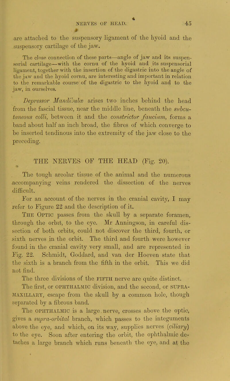 * are attached to the suspensory ligament of the hyoid and the suspensory cartilage of the jaw. ^ The close connection of these parts—angle of jaw and its suspen- sorial cartilage—with the coi’nu of the hyoid and its suspensorial ligament, together with the insertion of the digastric into the angle of the jaw and the hyoid cornu, are interesting and important in relation to the remarkable course of the digastric to the hyoid and to the jaw, in ourselves. Depressor Mandioulce arises two inches behind the head from the fascial tissue, near the middle line, beneath the subcu- taneous colli, between it and the constrictor faucium, forms a band about half an inch broad, the fibres of which converge to be inserted tendinous into the extremity of the jaw close to the preceding. THE NERVES OF THE HEAD (Fig. 20). The tough areolar tissue of the animal and the numerous -accompanying veins rendered the dissection of the nerves difficult. For an account of the nerves in the cranial cavity, I may refer to Figure 22 and the description of it. The Optic passes from the skull by a separate foramen, through the orbit, to the eye. Mr Anningson, in careful dis- section of both orbits, could not discover the third, fourth, or sixth nerves in the orbit. The third and fourth were however found in the cranial cavity very small, and are represented in Fig. 22. Schmidt, Goddard, and van der Hoeven state that the sixth is a branch from the fifth in the orbit. This we did not find. The three divisions of the fifth nerve are quite distinct. The first, or ophthalmic division, and the second, or SUPRA- M AX ILL ARY, escape from the skull by a common hole, though separated by a fibrous band. The ophthalmic is a large.nerve, crosses above the optic, gives a supra-or'hital branch, which passes to the integuments above the eye, and which, on its way, supplies nerves {ciliary) to the eye. Soon after entering the orbit, the ophthalmic de- taches a large branch which runs beneath the eye, and at the