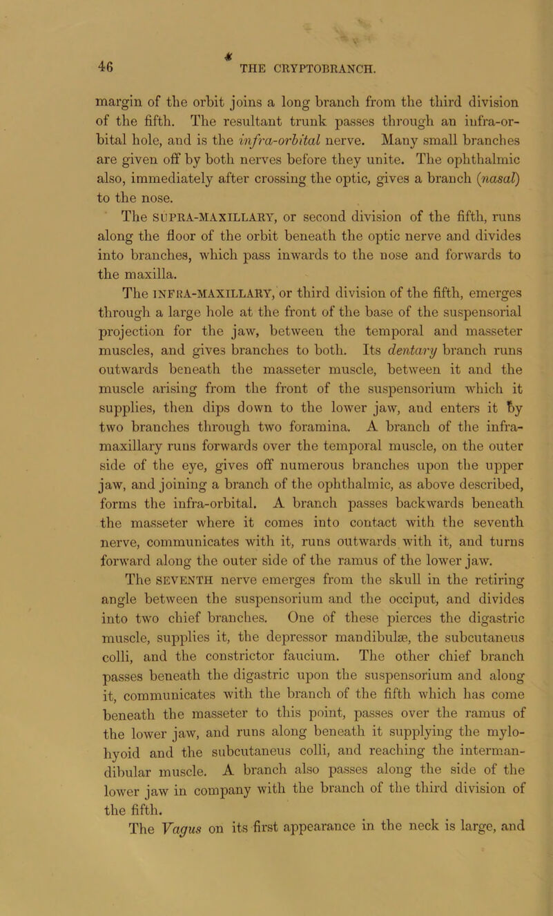 * margin of the orbit joins a long branch from the third division of the fifth. The resultant trunk passes through an infra-or- bital hole, and is the infra-orhital nerve. Many small branches are given off by both nerves before they unite. The ophthalmic also, immediately after crossing the optic, gives a branch (nasal) to the nose. The SUPRA-MAXILLARY, or second division of the fifth, runs along the floor of the orbit beneath the optic nerve and divides into branches, which pass inwards to the nose and forwards to the maxilla. The INFKA-MAXILLARY, or third division of the fifth, emerges through a large hole at the front of the base of the suspensorial projection for the jaw, between the temporal and masseter muscles, and gives branches to both. Its dentary branch runs outwards beneath the masseter muscle, between it and the muscle arising from the front of the suspensorium which it supplies, then dips down to the lower jaw, and enters it by two branches through two foramina. A branch of tlie infra- maxillary runs forwards over the temporal muscle, on the outer side of the eye, gives off numerous branches upon the upper jaw, and joining a branch of the ophthalmic, as above described, forms the infra-orbital. A branch passes backwards beneath the masseter where it comes into contact with the seventh nerve, communicates with it, runs outwards with it, and turns forward along the outer side of the ramus of the lower jaw. The SEVENTH nerve emerges from the skull in the retiring angle between the suspensorium and the occiput, and divides into two chief branches. One of these pierces the digastric muscle, supplies it, the depressor mandibulae, the subcutaneus colli, and the constrictor faucium. The other chief branch passes beneath the digastric upon the suspensorium and along it, communicates with the branch of the fifth which has come beneath the masseter to this point, passes over the ramus of the lower jaw, and runs along beneath it supplying the mylo- hyoid and the subcutaneus colli, and reaching the interman- dibular muscle. A branch also passes along the side of the lower jaw in company with the branch of the third division of the fifth. The Vagus on its first appearance in the neck is large, and
