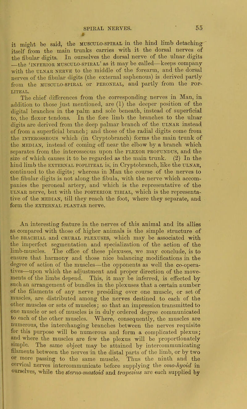 it be said, the musculo-spiral in the hind limb detaching- itself from the main trunks carries with it the dorsal nerves of the fibular digits. In ourselves the dorsal nerve of the ulnar digits the ‘INFERIOR musculo-spiral’as it maybe called—keeps company with the ULNAR NERVE to the middle of the forearm, and the dorsal nerves of the fibular digits (the external saphenous) is derived partly from the musculo-spiral or peroneal, and partly from the pop- liteal. The chief differences from the corresponding nerves in Man, in addition to those just mentioned, are (1) the deeper position of the digital branches in the palm and sole beneath, instead of superficial to, the flexor tendons. In the fore limb the branches to the ulnar digits are derived from the deep palmar branch of the ulnar instead of from a superficial branch; and those of the radial digits come from the INTEROSSEOUS which (in Cryptobranch) forms the main trunk of the MEDIAN, instead of coming off near the elbow by a branch which separates from the interosseous upon the flexor profundus, and the size of which causes it to be regarded as the main trunk. (2) In the hind limb the external popliteal is, in Cryptobranch, like the ulnar, continued to the digits; whereas in Man the course of the nerves to the fibular digits is not along the fibula, with the nerve which accom- panies the peroneal artery, and which is the representative of the ULNAR nerve, but with the posterior tibial, which is the representa- tive of the MEDIAN, till they reach the foot, where they separate, and form the external plantar nerve. An interesting feature in the nerves of this animal and its allies as compared with those of higher animals is the simple structure of the BRACHIAL and crural plexuses, which may be associated with the imperfect segmentation and specialization of the action of the limb-muscles. The office of these plexuses, we may conclude, is to ensure that harmony and those nice balancing modifications in the degi-ee of action of the muscles—the opponents as well the co-opera- tives—upon which the adjustment and proper direction of the move- ments of the limbs depend. This, it may be inferred, is effected by such an arrangement of bundles in the plexuses that a certain number of the filaments of any nerve presiding over one muscle, or set of muscles, are distributed among the nerves destined to each of the other muscles or sets of muscles; so that an impression transmitted to one muscle or set of muscles is in duly ordered degree communicated to each of the other muscles. Where, consequently, the muscles are numerous, the interchanging branches between the nerves requisite for this purpose will be numerous and form a complicated plexus; and where the muscles are few the plexus will be proportionately simple. The same object may be attained by intercommunicating filaments between the nerves in the distal parts of the limb, or by two or more passing to the same muscle. Thus the ninth and the cervical nerves intercommunicate before supplying the omo-hyoid in ourselves, while the slerno-mastoid and tra/peziv^ are each supplied by