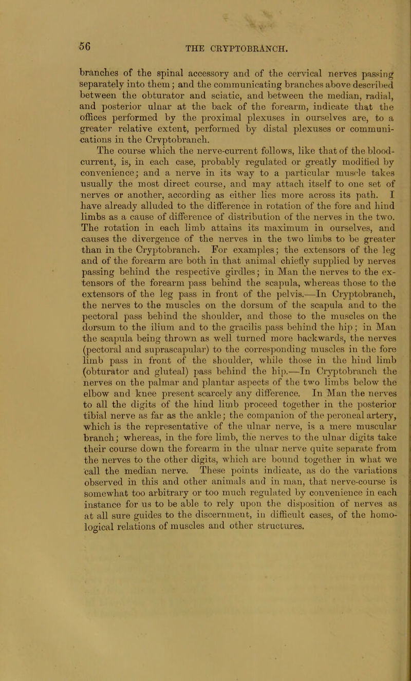 branches of the spinal accessory and of the cervical nerves passing separately into them; and the communicating branches above described between the obturator and sciatic, and between the median, radial, and posterior ulnar at the back of the forearm, indicate that the oflEices performed by the proximal plexuses in ourselves ai*e, to a greater relative extent, performed by distal plexuses or communi- cations in the Crvptobranch. The course which the nerve-curi'ent follows, like that of the blood- current, is, in each case, probably regulated or gi-eatly modified by convenience; and a nerve in its way to a particular muscle takes usually the most direct course, and may attach itself to one set of neiwes or another, according as either lies moi’e across its path. I have already alluded to the difference in rotation of the fore and hind limbs as a cause of difference of distribution of the nerves in the two. The rotation in each limb attains its maximum in ourselves, and causes the divergence of the nerves in the two limbs to be greater than in the Cryptobranch. For examples; the extensors of the leg and of the forearm are both in that animal chiefly supplied by nerves passing behind the respective girdles; in Man the nerves to the ex- tensors of the forearm pass behind the scapula, whereas those to the extensors of the leg pass in front of the pelvis.—In Cryptobranch, the nerves to the muscles on the dorsum of the scapula and to the pectoral pass behind the shoulder, and those to the muscles on the dorsum to the ilium and to the gi’acilis pass behind the hip; in Man the scapula being thrown as well turned more backwards, the nerves (pectoral and suprascapular) to the corresponding muscles in the fore limb pass in front of the shoulder, while those in the hind limb (obturator and gluteal) j)ass behind the hi[).—In Cryptobi'anch the nerves on the palmar and plantar aspects of the two limbs below the elbow and knee present scarcely any difference. In Man the nerves to all the digits of the hind limb proceed together in the posterior tibial nerve as far as the ankle; the companion of the peroneal artery, which is the representative of the ulnar nerve, is a mere muscular branch; whereas, in the fore limb, tlie nerves to the ulnar digits take their course down the forearm in the ulnar nerve quite separate from the nerves to the other digits, which are bound together in what we call the median nerve. These points indicate, as do the variations observed in this and other animals and in man, that nerve-course is somewhat too arbitrary or too much regulated by convenience in each instance for us to be able to rely upon the disposition of nerves as at all sure guides to the discernment, in difficult cases, of the homo- logical relations of muscles and other structures.