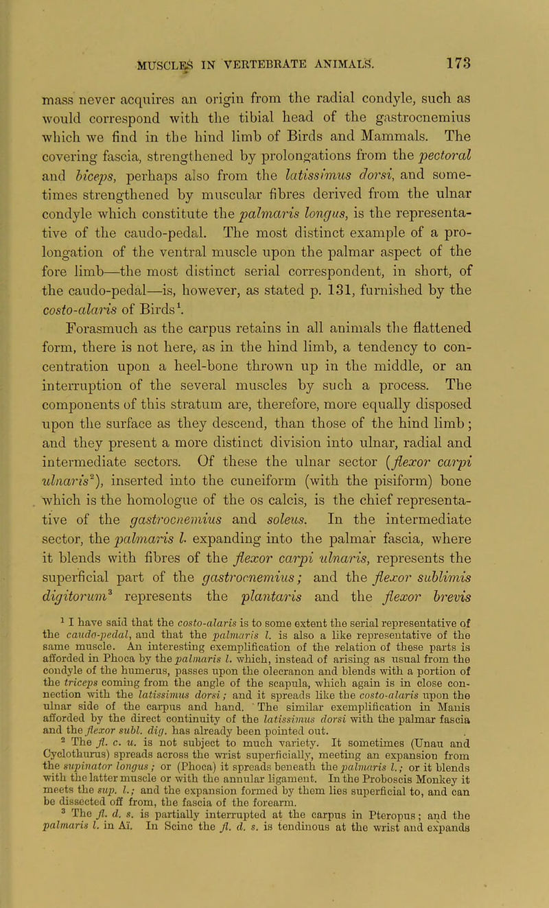 mass never acquires an origin from the radial condyle, such as would correspond with the tibial head of the gastrocnemius which we find in the hind limb of Birds and Mammals. The covering fascia, strengthened by prolongations from the pectoral and biceps, perhaps also from the latissimus dorsi, and some- times strengthened by muscular fibres derived from the ulnar condyle which constitute the pahnaris longus, is the representa- tive of the caudo-pedal. The most distinct example of a pro- longation of the ventral muscle upon the palmar aspect of the fore limb—the most distinct serial correspondent, in short, of the caudo-pedal—is, however, as stated p. 131, furnished by the costo-alaris of Birds \ Forasmuch as the carpus retains in all animals the flattened form, there is not here, as in the hind limb, a tendency to con- centration upon a heel-bone thrown up in the middle, or an interruption of the several muscles by such a process. The components of this stratum are, therefore, more equally disposed upon the surface as they descend, than those of the hind limb; and they present a more distinct division into ulnar, radial and intermediate sectors. Of these the ulnar sector {flexor carpi ulnaris^), inserted into the cuneiform (with the pisiform) bone which is the homologue of the os calcis, is the chief representa- tive of the gastrocnemius and soleus. In the intermediate sector, the palmaris I expanding into the palmar fascia, where it blends with fibres of the flexor carpi idnaris, represents the superficial part of the gastrocnemius; and i]\Q flexor sublimis digitorum^ represents the plantaris and the flexor brevis ^ I have said that the costo-alaris is to some extent the serial representative of the caudo-pedal, and that the palmaris 1. is also a like representative of the same muscle. An interesting exemplification of the relation of these parts is afforded in Phoca by the palmaris 1. which, instead of arising as usual from the condyle of the humerus, passes upon the olecranon and blends with a portion of the triceps commg from the angle of the scapula, which again is in close con- nection with the latissimus dorsi; and it spreads like the costo-alaris upon the ulnar side of the carpus and hand. ' The similar exemplification in Mania afforded by the direct continuity of the latissimus dorsi with the palmar fascia and the flexor subl. dig. has already been pointed out. 2 The fl. c. u. is not subject to much variety. It sometimes (Unau and Cyclothurus) spreads across the widst superficially, meethig an expansion from the supinator longus; or (Phoca) it spreads beneath the palmaris 1.; or it blends with the latter muscle or with the annular ligament. In the Proboscis Monkey it meets the sup. 1.; and the expansion formed by them lies superficial to, and can be dissected off from, the fascia of the forearm. ® The fl. d. s. is partially interrupted at the carpus in Pteropus; and the palmaris 1. in Ai. In Seine the fl. d. s. is tendinous at the wrist and ex'pands
