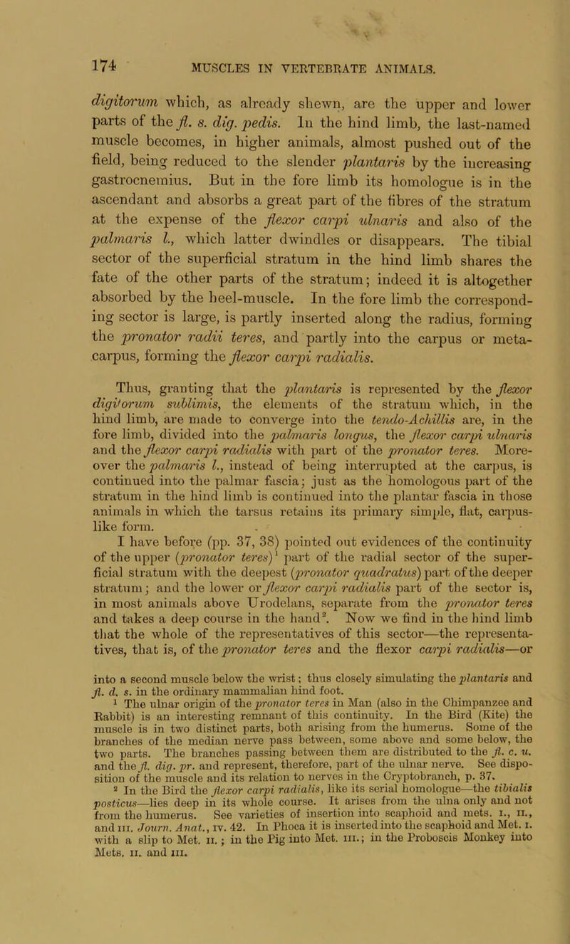 digitorum which, as already shewn, are the upper and lower parts of the fl. s. dig. jyedis. In the hind limb, the last-named muscle becomes, in higher animals, almost pushed out of the field, being reduced to the slender plantaris by the increasing gastrocnemius. But in the fore limb its homologue is in the ascendant and absorbs a great part of the fibres of the stratum at the expense of the flexor carjn idnaris and also of the palmaris I, which latter dwindles or disappears. The tibial sector of the superficial stratum in the hind limb shares the fate of the other parts of the stratum; indeed it is altogether absorbed by the heel-muscle. In the fore limb the correspond- ing sector is large, is partly inserted along the radius, forming the pronator radii teres, and partly into the carpus or meta- carpus, forming the flexor carpi radialis. Thus, granting that the idantaris is represented by the flexor digitorum sublimis, the elements of the stratum which, in the hind limb, are made to converge into the tendo-Achillis are, in the fore limb, divided into the palmaris longus, the flexor carpi ulnaris and the flexor carpi radialis with part of the pronator teres. More- over the palmaris 1., instead of being interrupted at the carpus, is continued into the palmar fascia; just as the homologous part of the stratum in the hind limb is continued into the plantar fascia in those animals in wliich the tarsus i-etains its primary simple, fiat, carpus- like form. I have before (pp. 37, 38) pointed out evidences of the continuity of the upper f^ronator teres)^ part of the radial sector of the super- ficial stratum with the deepest [pronator quadratus')^oxt of the deejier stratum; and the lower or flexor carpi radialis part of the sector is, in most animals above Urodelans, sepai’ate from the pronator teres and takes a deep course in the hand^ Now we find in the hind limb that the whole of the representatives of this sector—the representa- tives, that is, of the pronator teres and the flexor carpi radialis—or into a second muscle below the wrist; thus closely simulating the plantaris and Jl. d. s. in the ordinary mammalian hind foot. ^ The ulnar origin of the pronator teres in Man (also in the Chimpanzee and Rabbit) is an interesting remnant of this continuity. In the Bird (Kite) the muscle is in two distinct parts, both arising from the humerus. Some of the branches of the median nerve pass between, some above and some below, the two parts. The branches passing between them are distributed to the Ji. c. u. and the^. dig. pr. and represent, therefore, part of the ulnar nerve. See dispo- sition of the muscle and its relation to nerves in the Cryptobranch, p. 37, ^ In the Bird the flexor carpi radialis, like its serial homologue—the tibialis posticus—lies deep in its whole course. It arises from the ulna only and not from the humerus. See varieties of insertion into scaphoid and mets. i., ii., and III. Joxirn. Anat., iv. 42. In Phoca it is inserted into the scaphoid and Met. i. with a slip to Met. n.; in the Pig into Met. in.; in the Proboscis Monkey into Mets. II. and in.